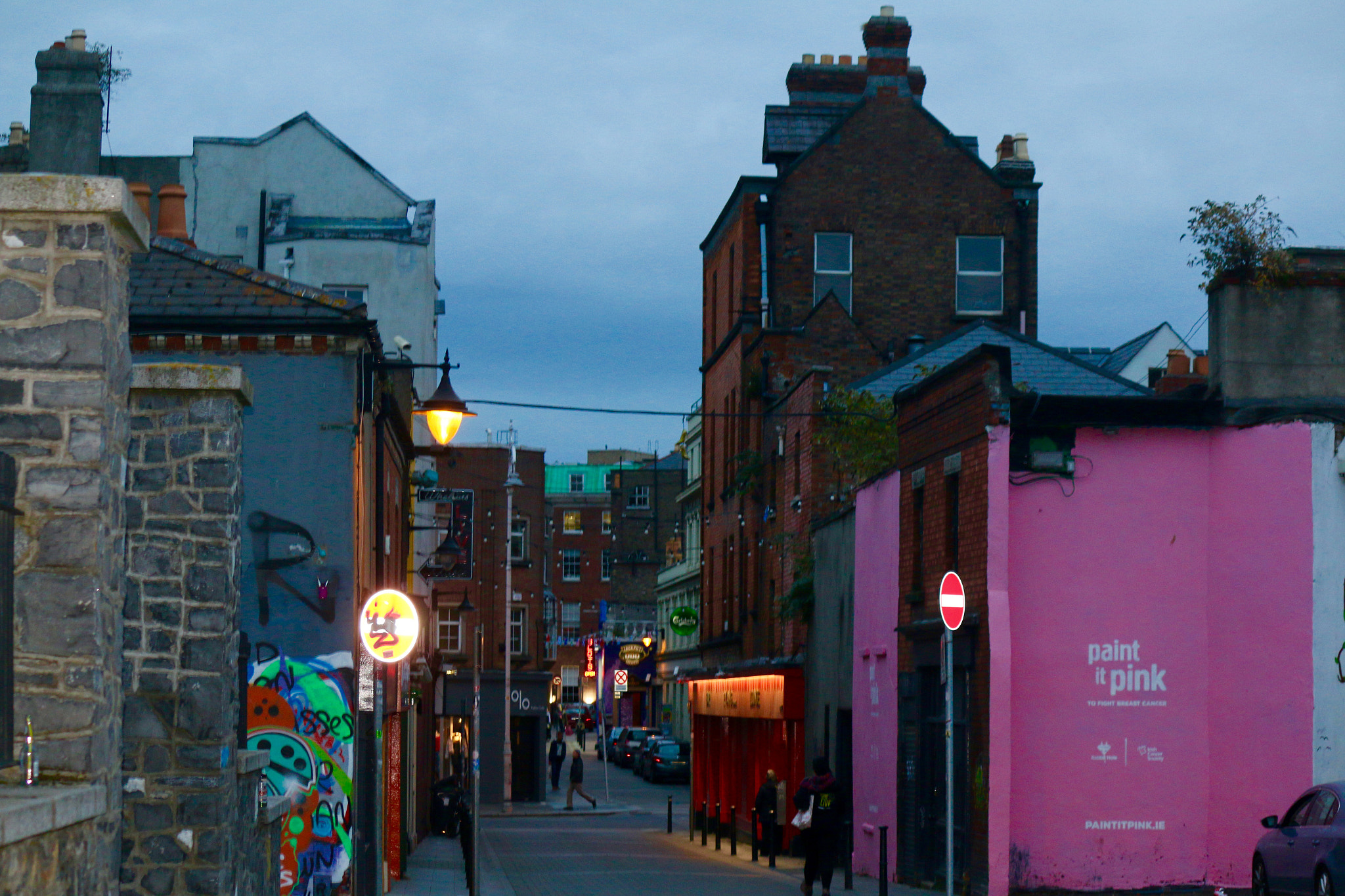 Canon EF-S 55-250mm F4-5.6 IS II sample photo. Dublin photography