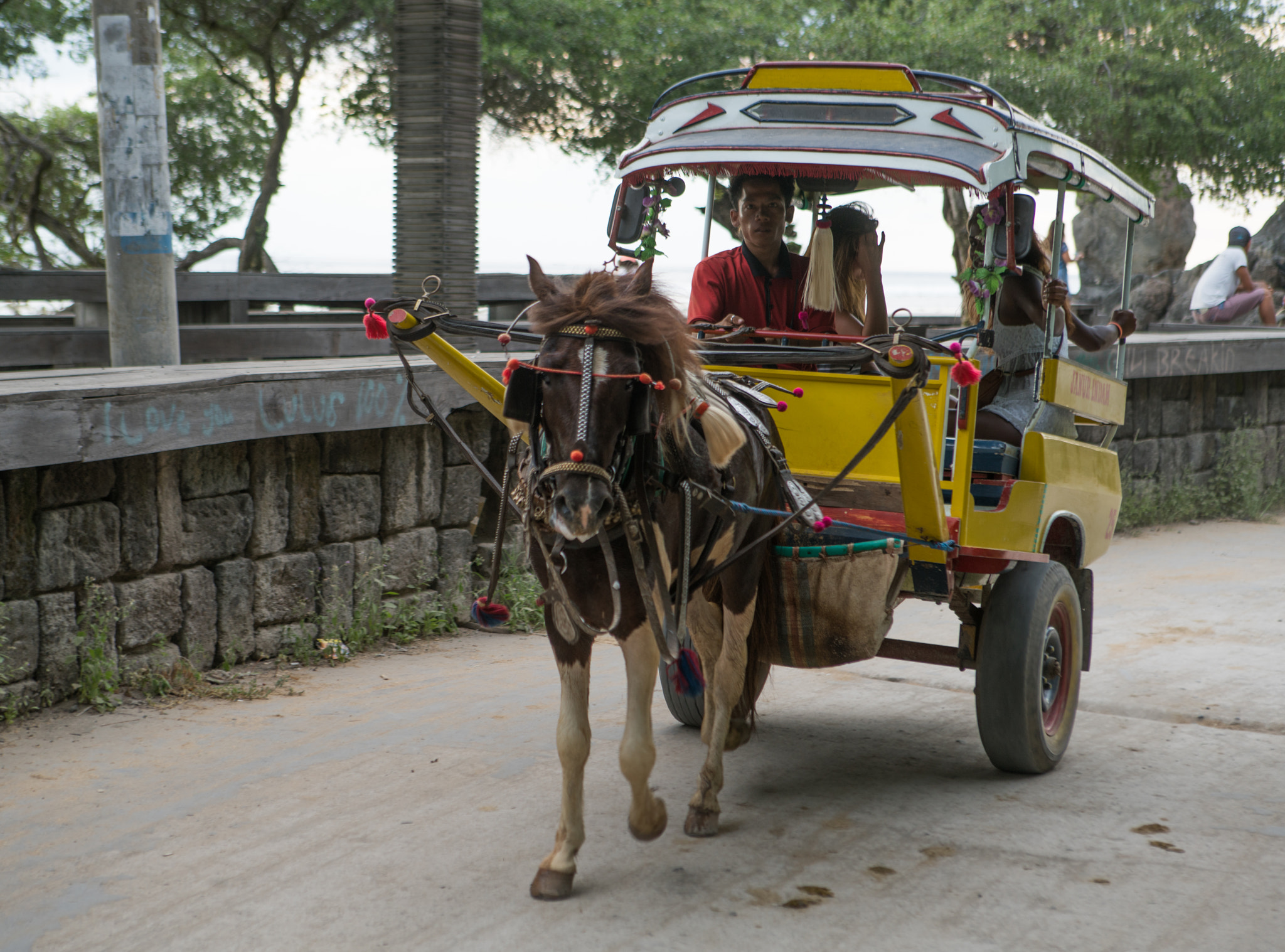 Sony a7R II + Canon EF 24-70mm F2.8L USM sample photo. Transportation on gili t photography