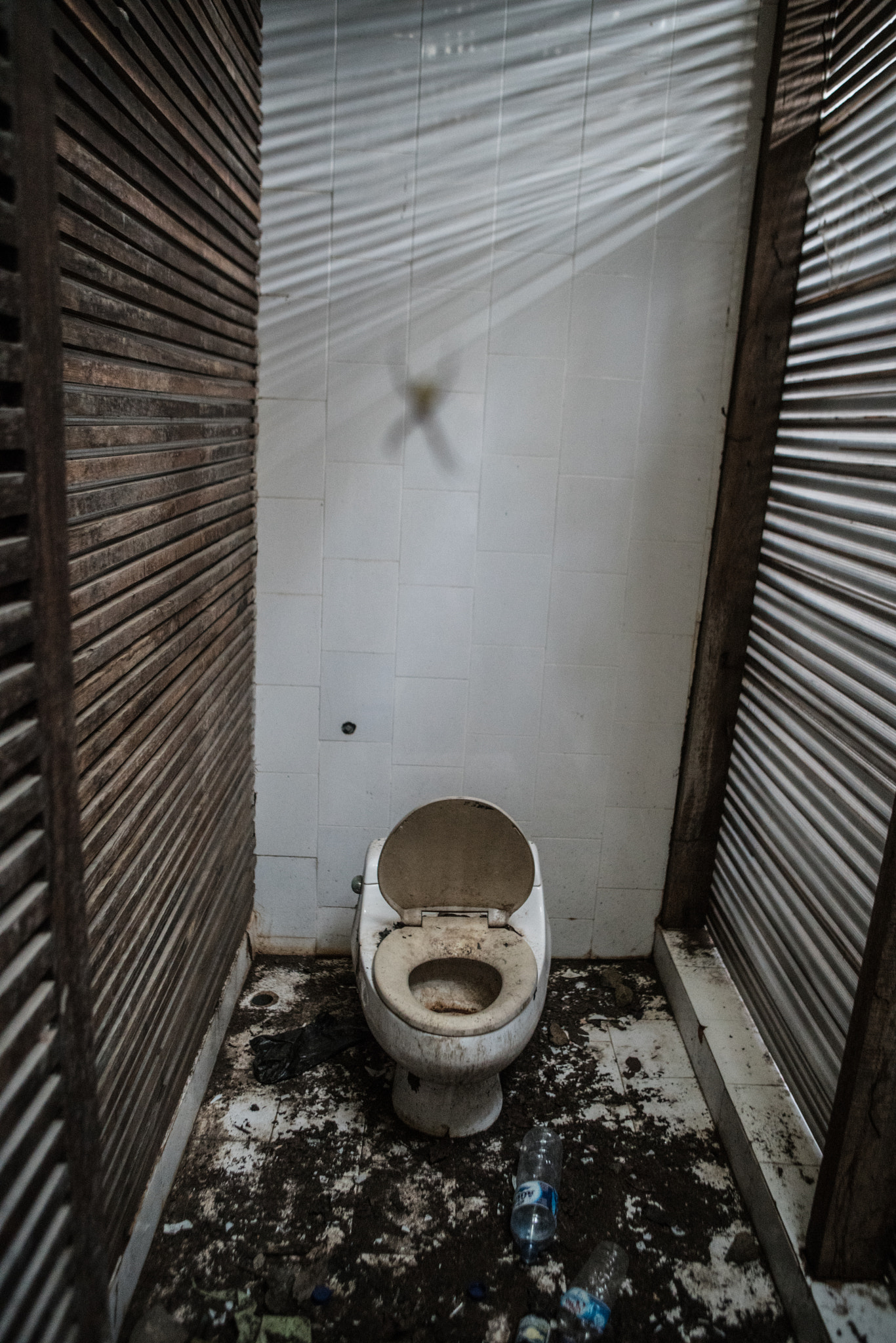 Sony a7R II + Canon EF 24-70mm F2.8L USM sample photo. Spider photography