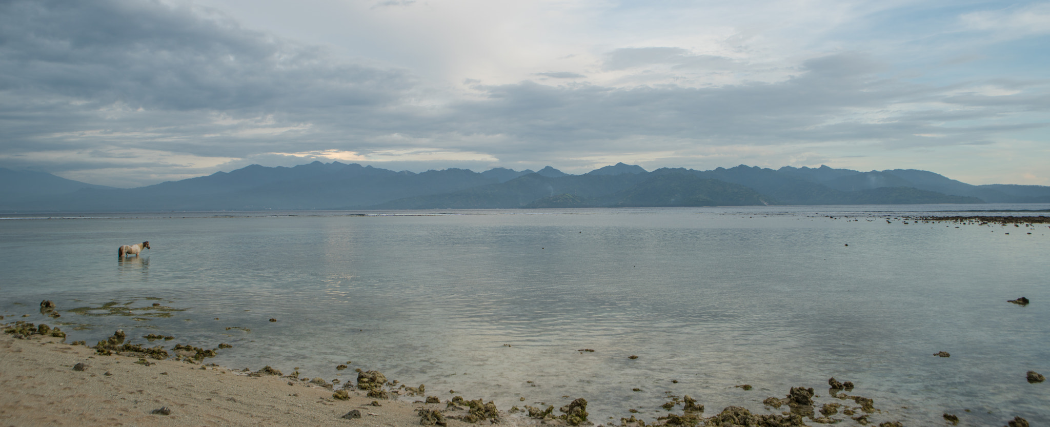 Sony a7R II + Canon EF 24-70mm F2.8L USM sample photo. Places found photography