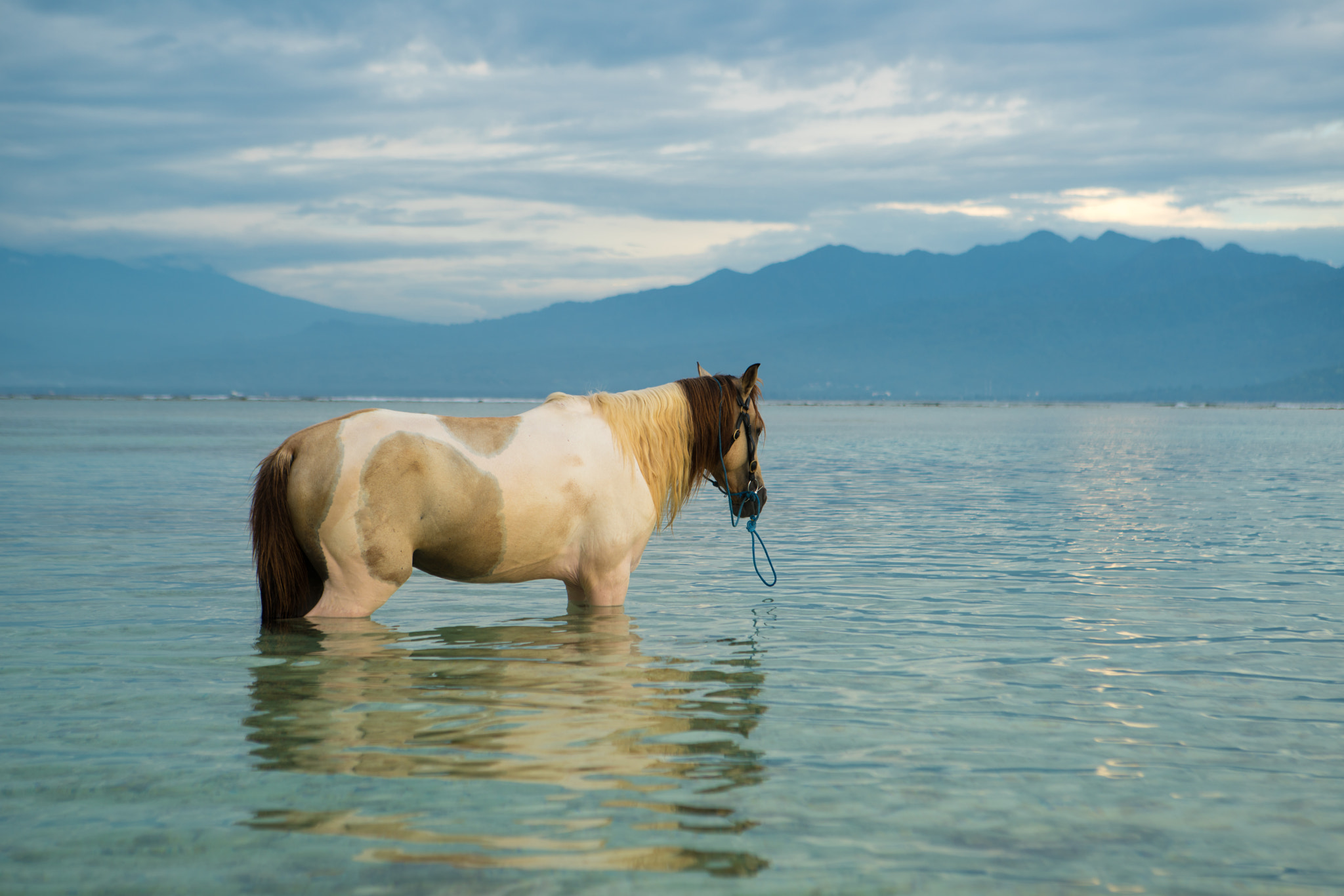 Sony a7R II + Canon EF 24-70mm F2.8L USM sample photo. Believe photography