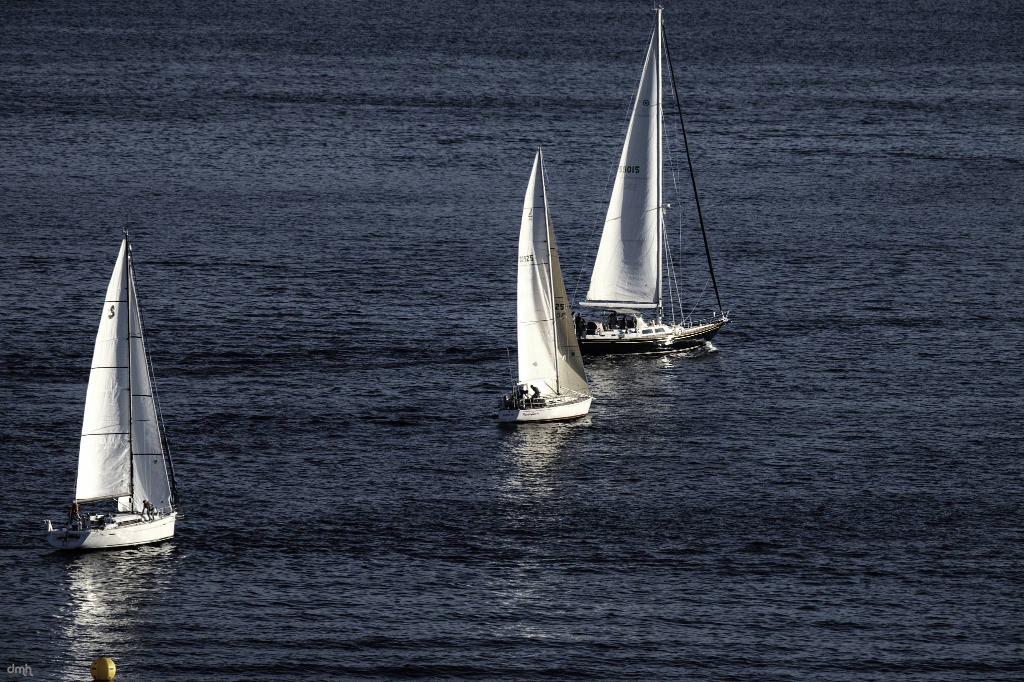 Fujifilm XF 100-400mm F4.5-5.6 R LM OIS WR sample photo. Lead the way! photography