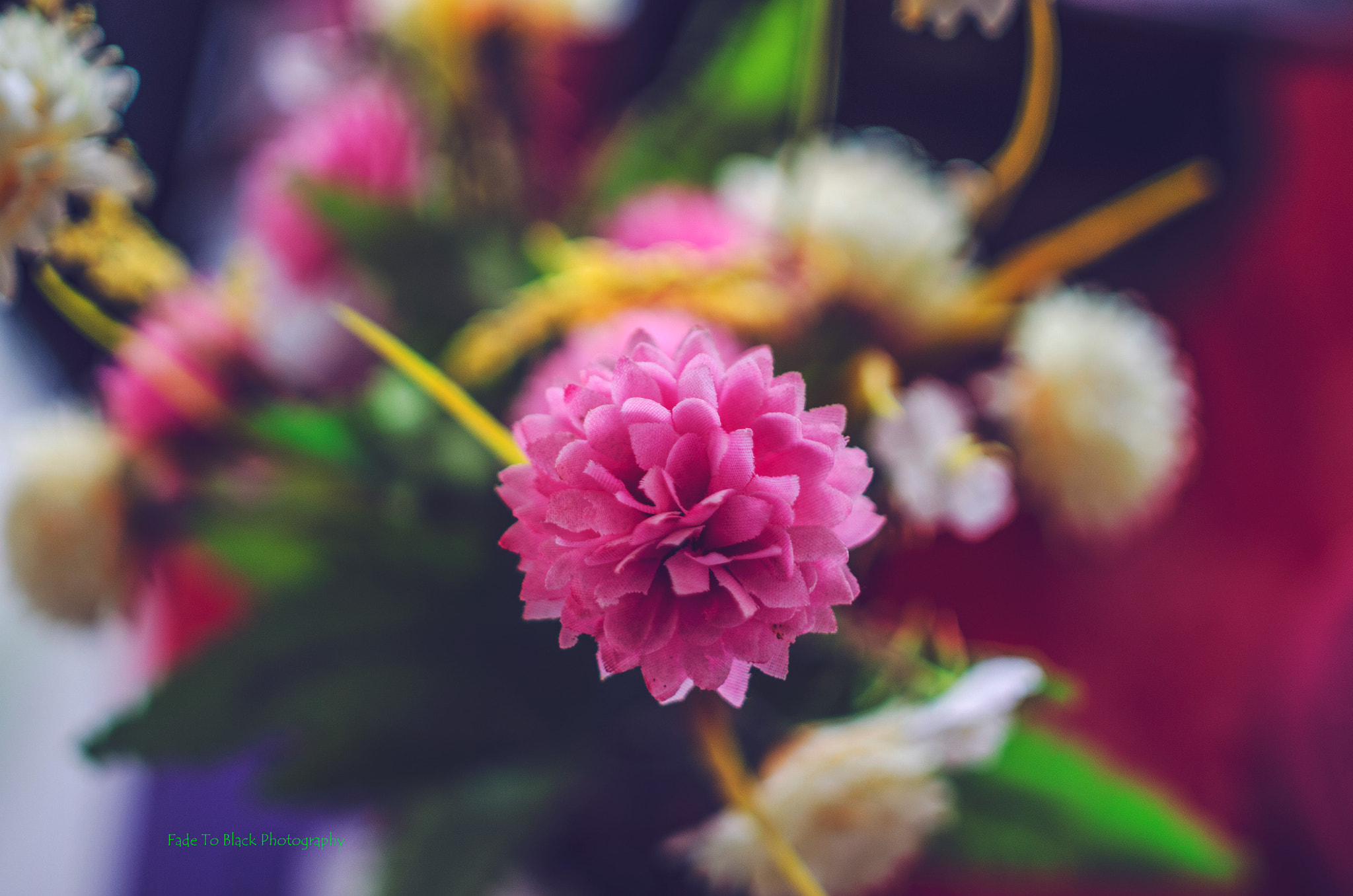 Nikon D5100 + Samyang 35mm F1.4 AS UMC sample photo. Pink blossoms photography