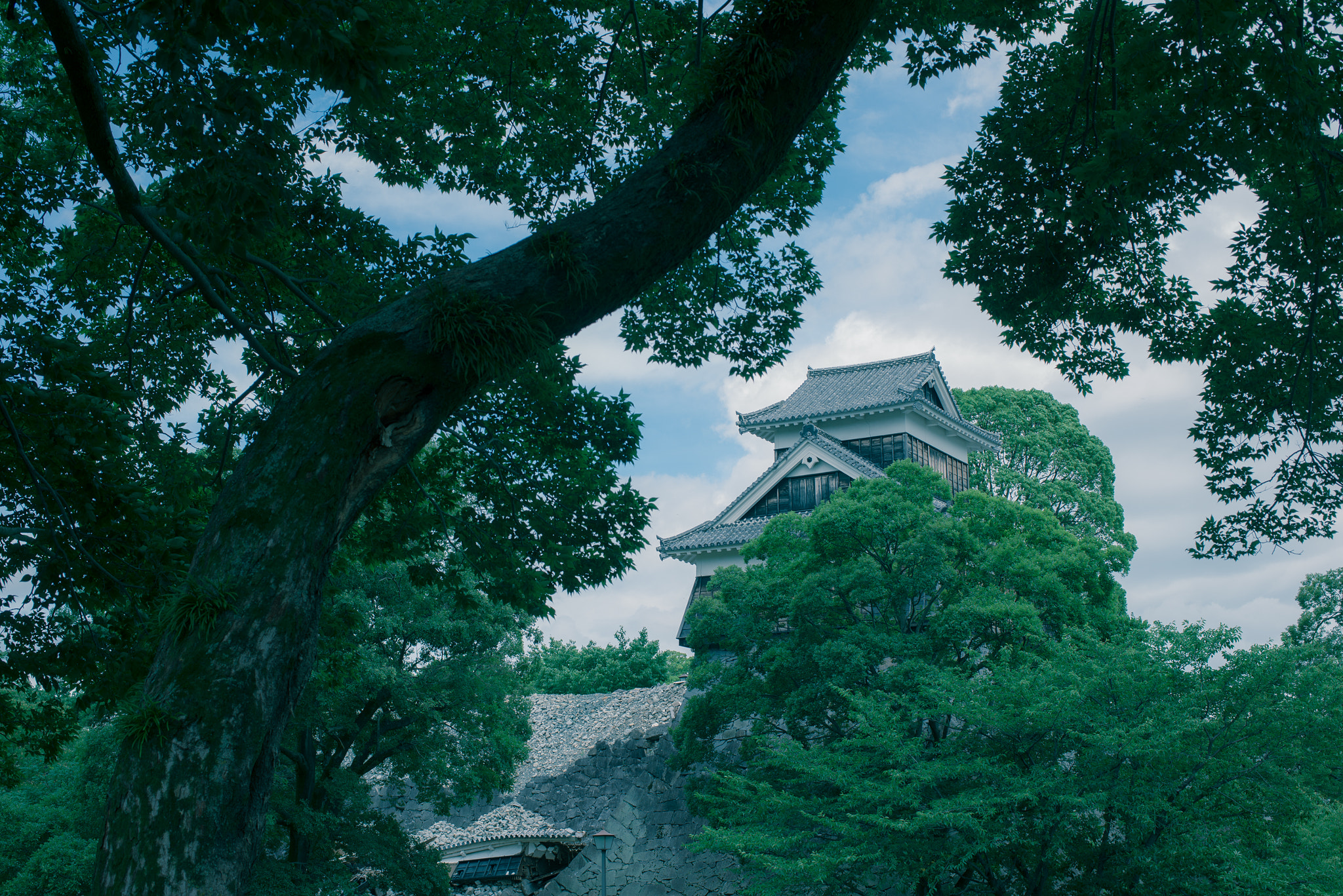 Nikon D610 + Sigma 50mm F2.8 EX DG Macro sample photo. Kumamoto castle 2 photography