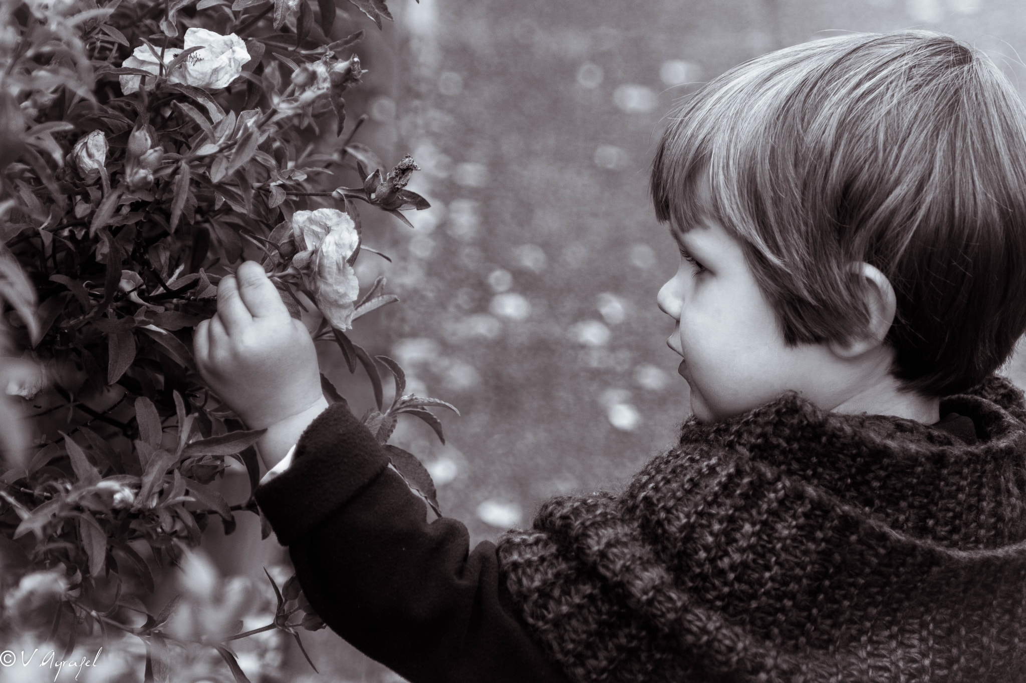 Nikon D3100 sample photo. Boy photography