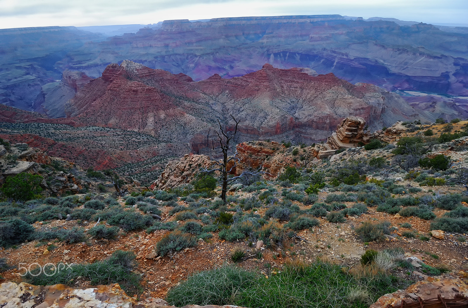 Nikon D80 sample photo. Grand canyon dusk 4 photography