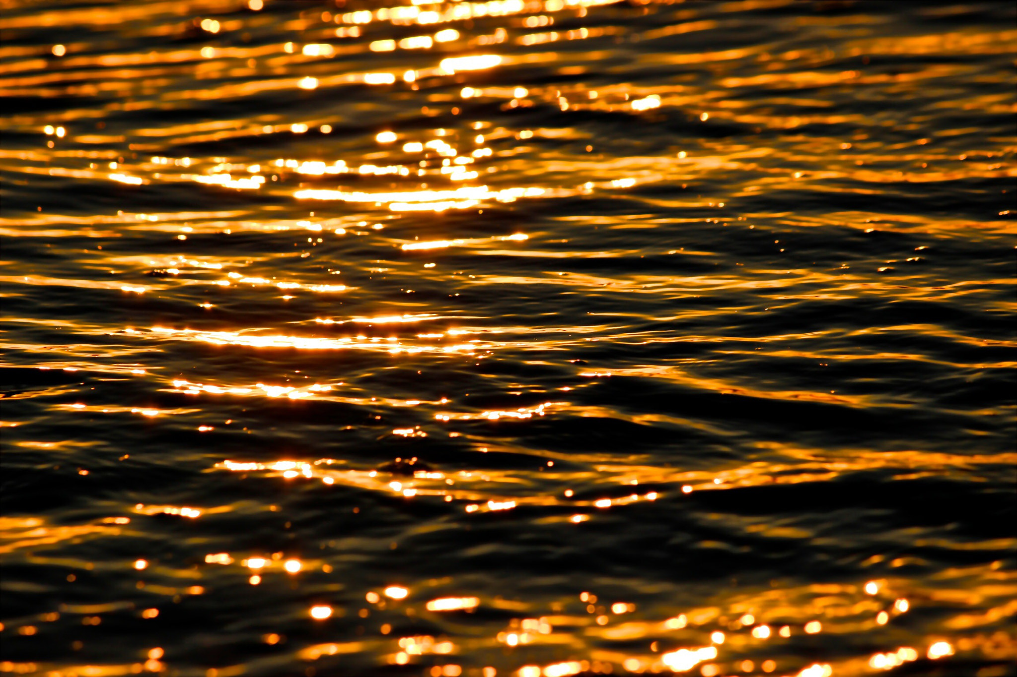 Canon EOS 600D (Rebel EOS T3i / EOS Kiss X5) sample photo. Shining sea photography