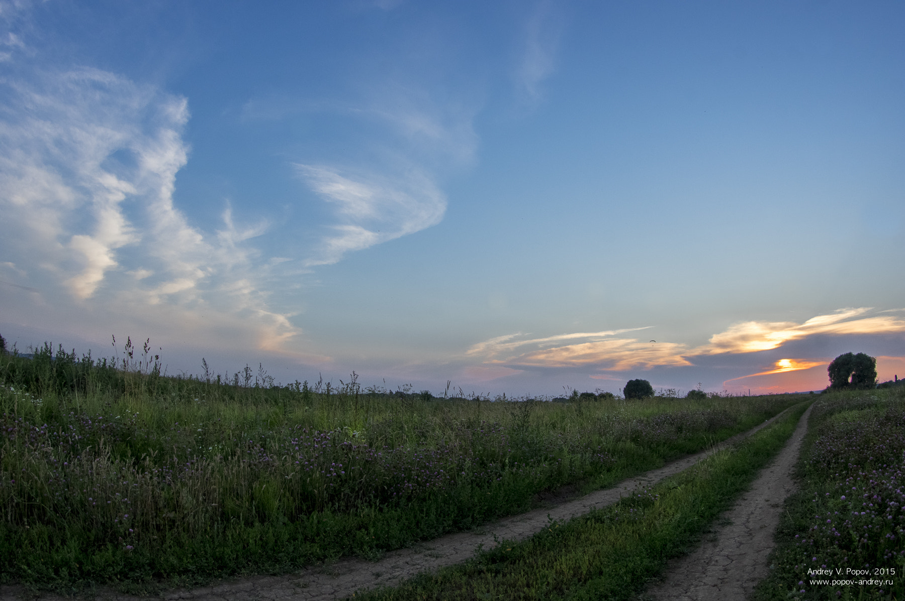 Pentax K-3 sample photo. *** photography