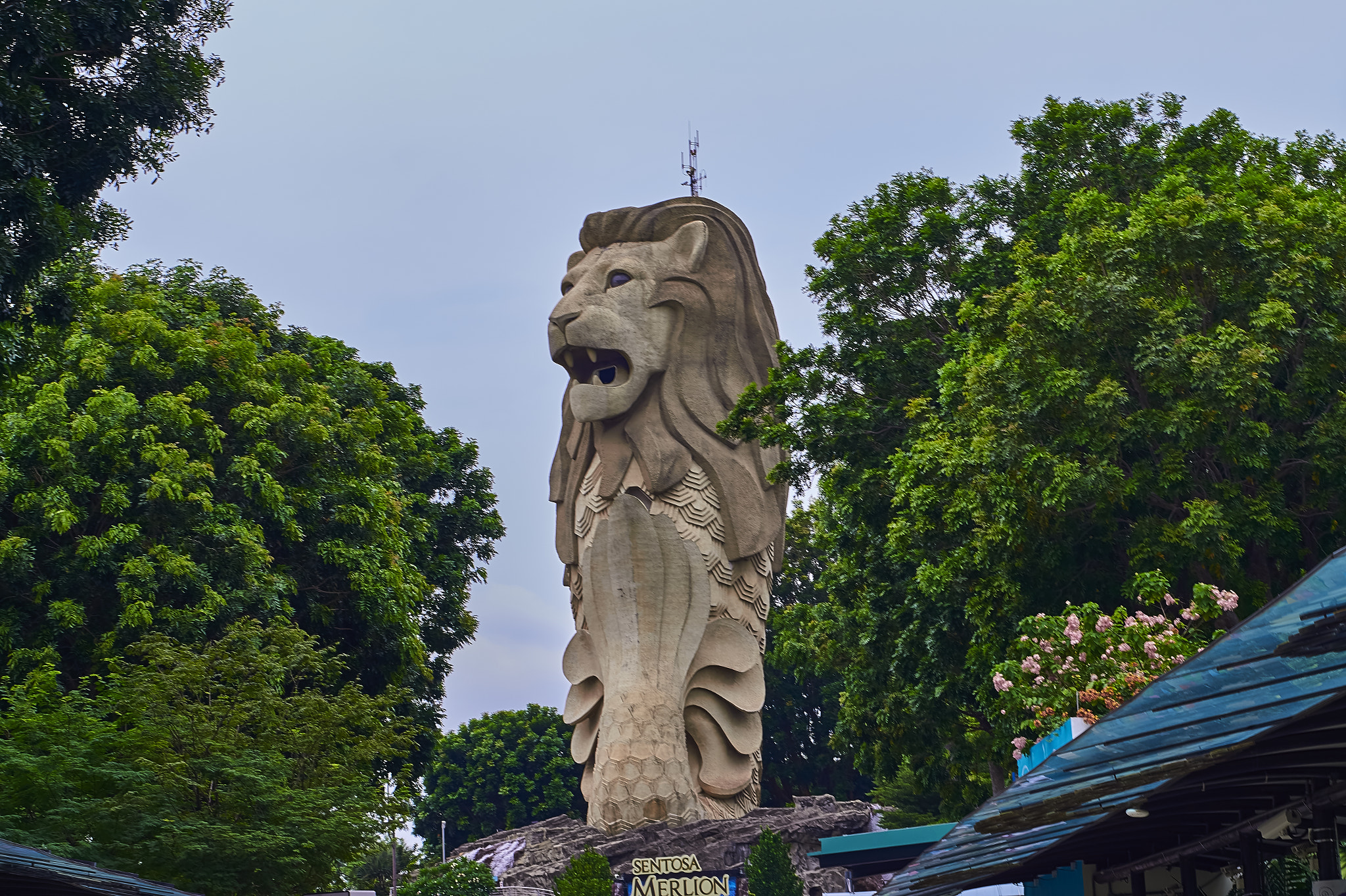 Sony Alpha a5000 (ILCE 5000) + E 50mm F1.8 OSS sample photo. Singapore sentosa merlion photography