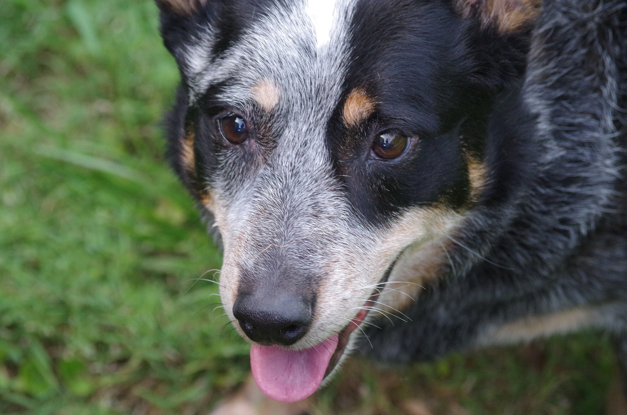 Pentax smc DA 50-200mm F4-5.6 ED WR sample photo. Happy boy photography