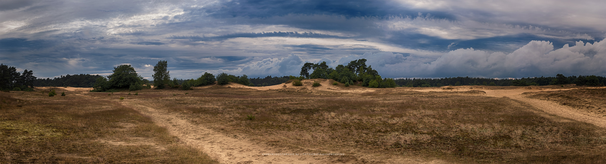 Nikon D80 sample photo. Kootwijkerzand 2016 photography