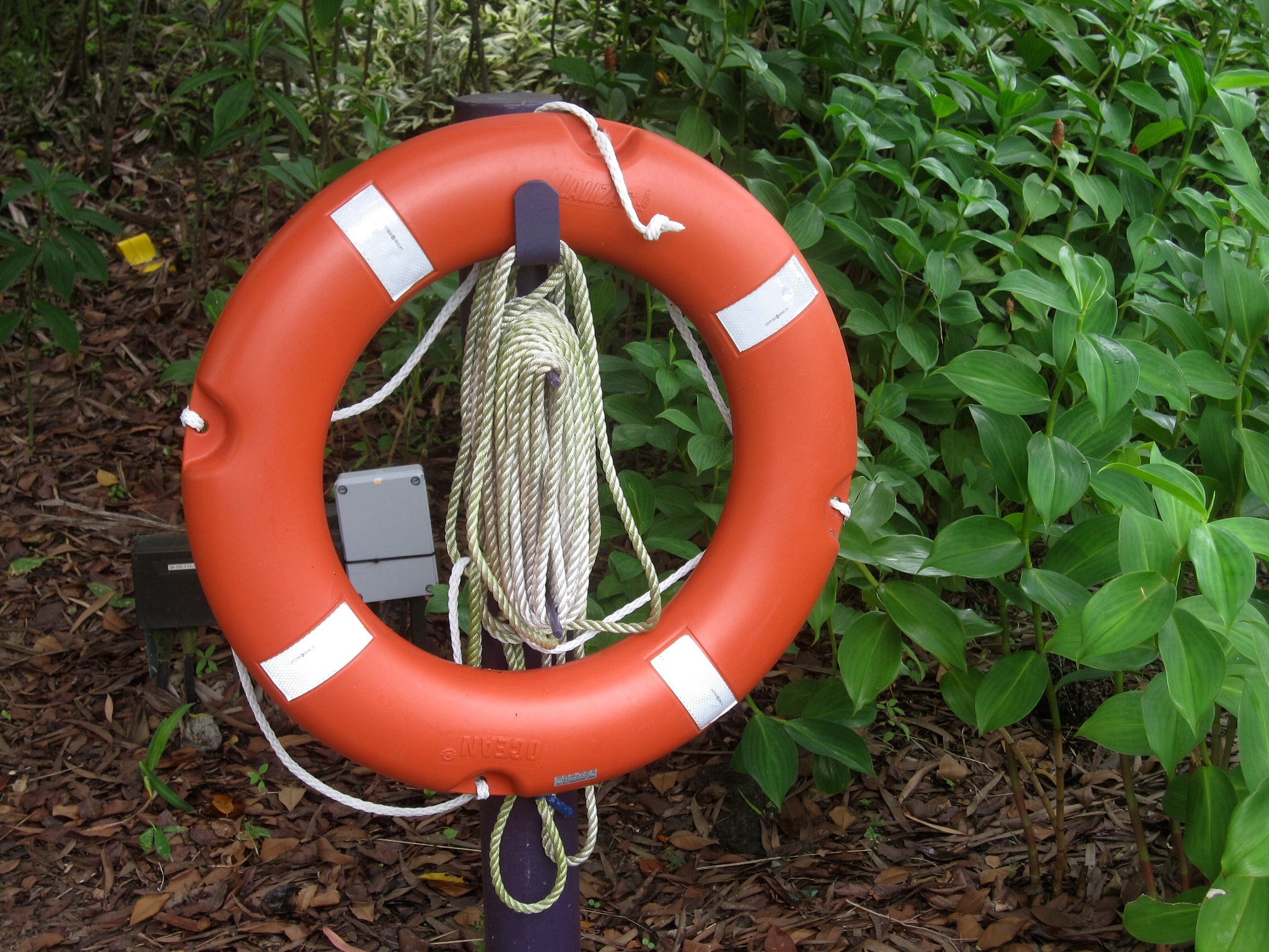 Canon PowerShot SD880 IS (Digital IXUS 870 IS / IXY Digital 920 IS) sample photo. The life buoy 救生圈 photography