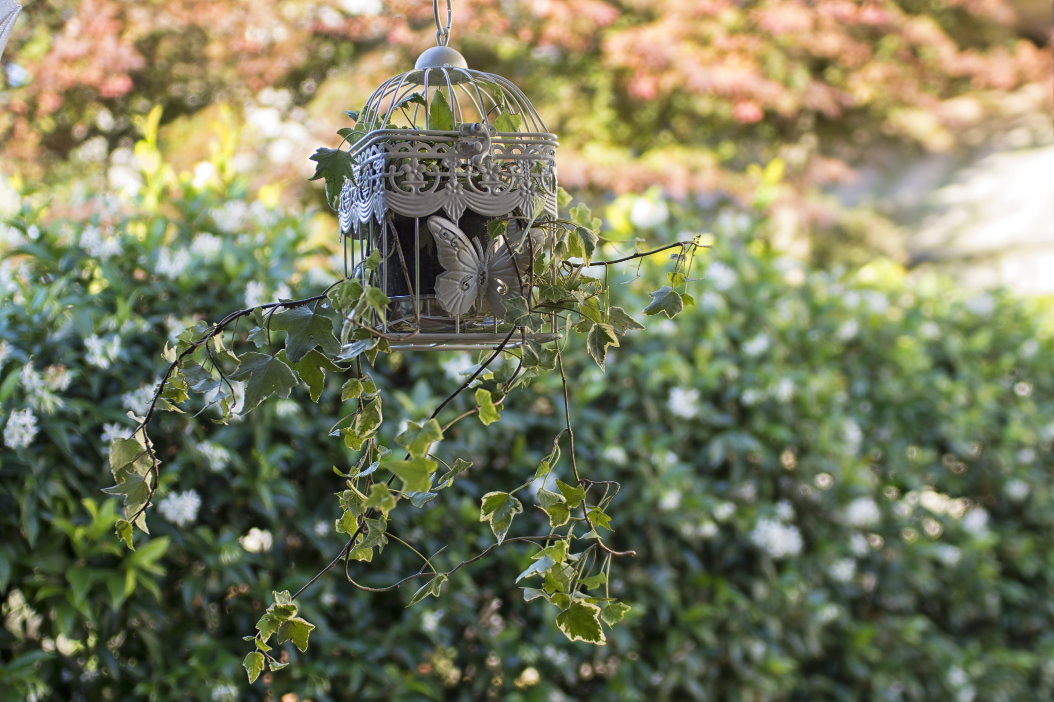 Nikon D7100 + Sigma 24-70mm F2.8 EX DG Macro sample photo. Composition photography