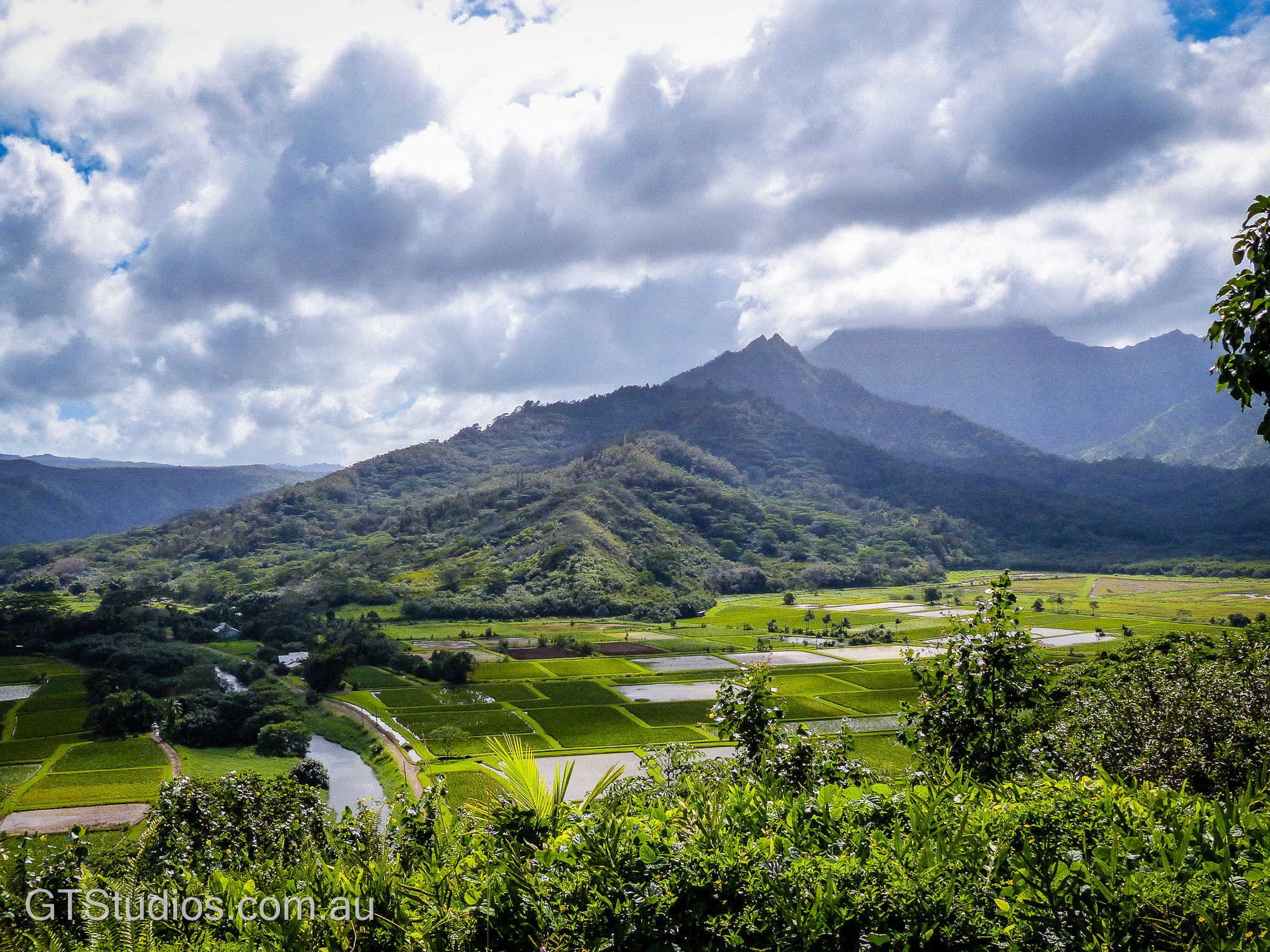 Leica V-Lux 4 sample photo. The taro fields photography