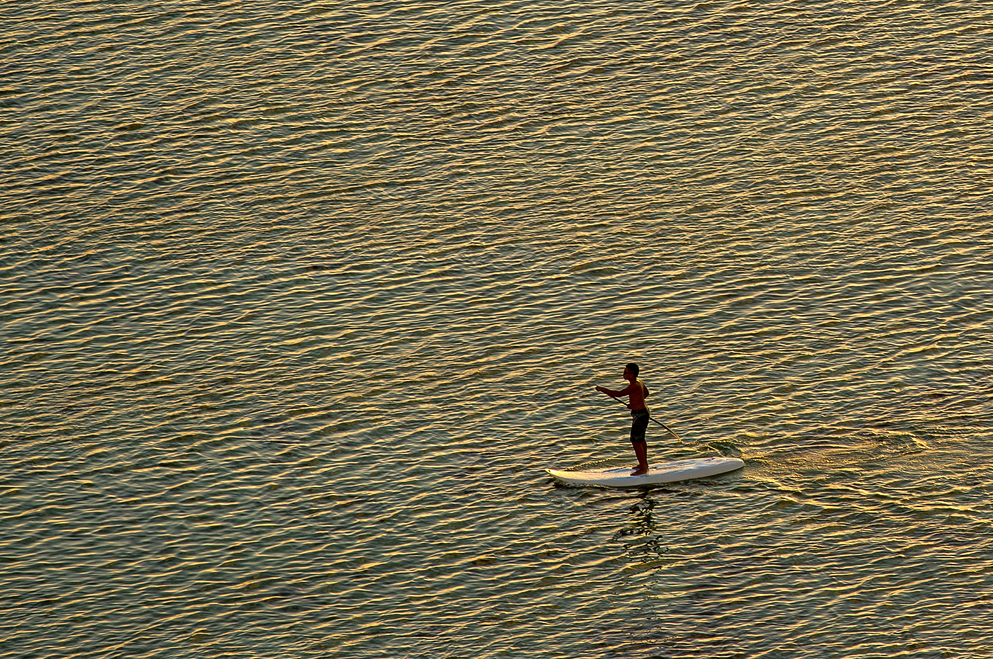 Nikon D4S + Nikon AF-S Nikkor 300mm F4D ED-IF sample photo. Lonely serfer photography