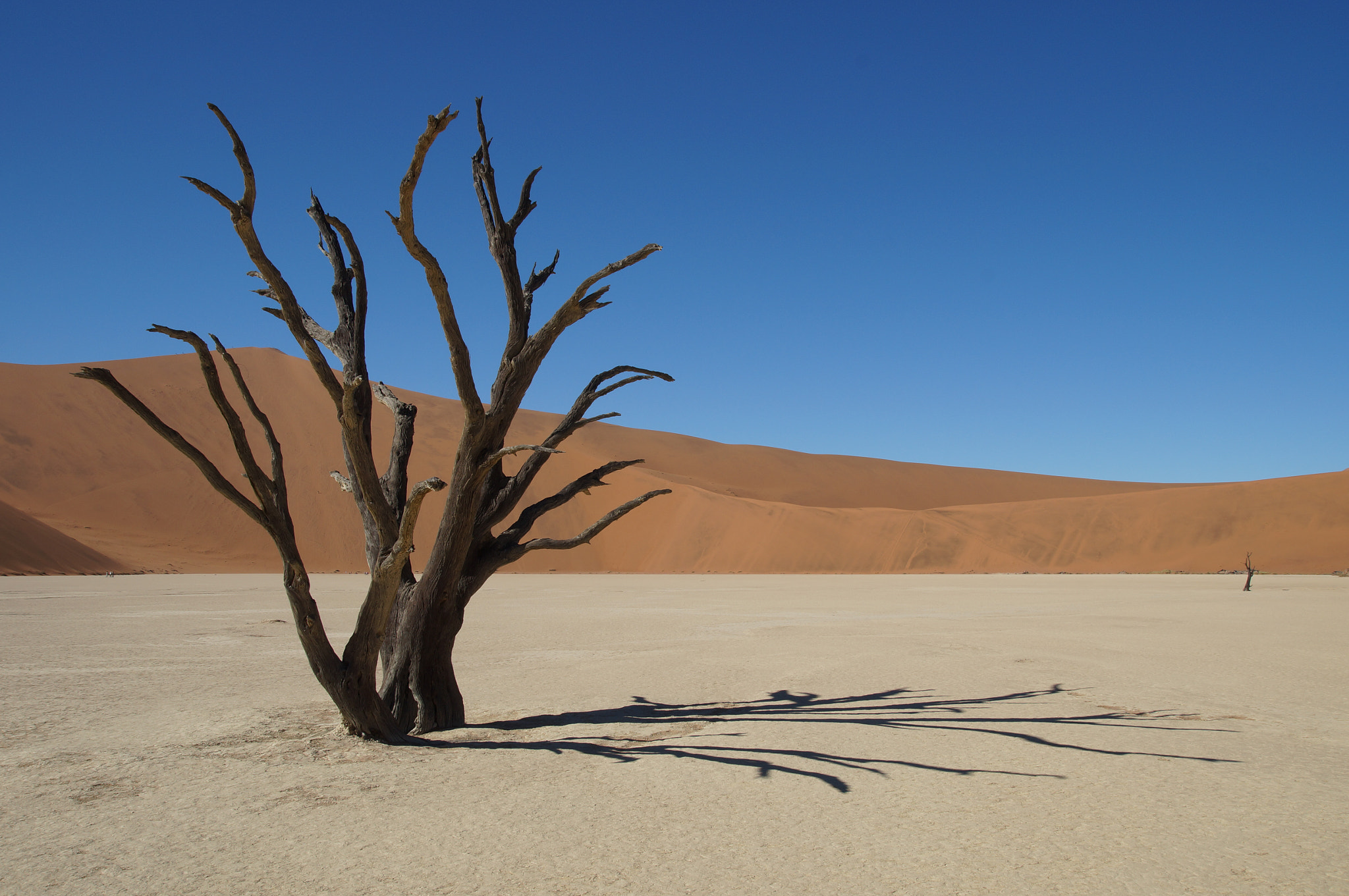 Sony SLT-A57 + DT 17-50mm F2.8 sample photo. Dead vlei, namibia photography