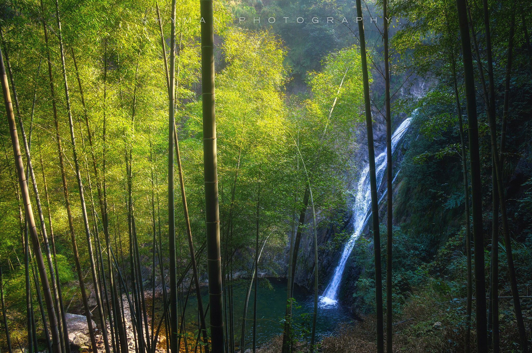 Sony Alpha NEX-5R + Sony Vario-Tessar T* E 16-70mm F4 ZA OSS sample photo. Deep in bamboo mountain photography