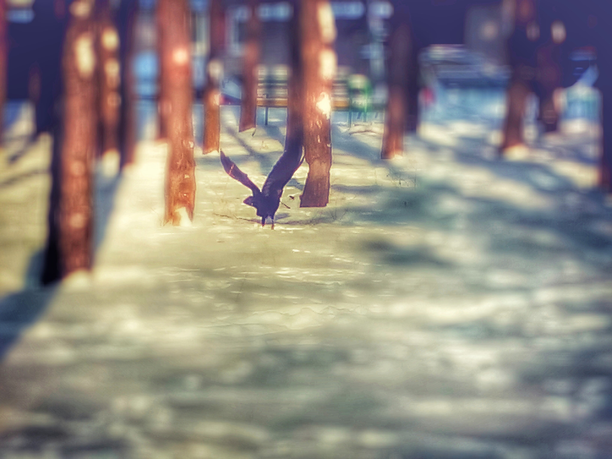Micromax Canvas Spark sample photo