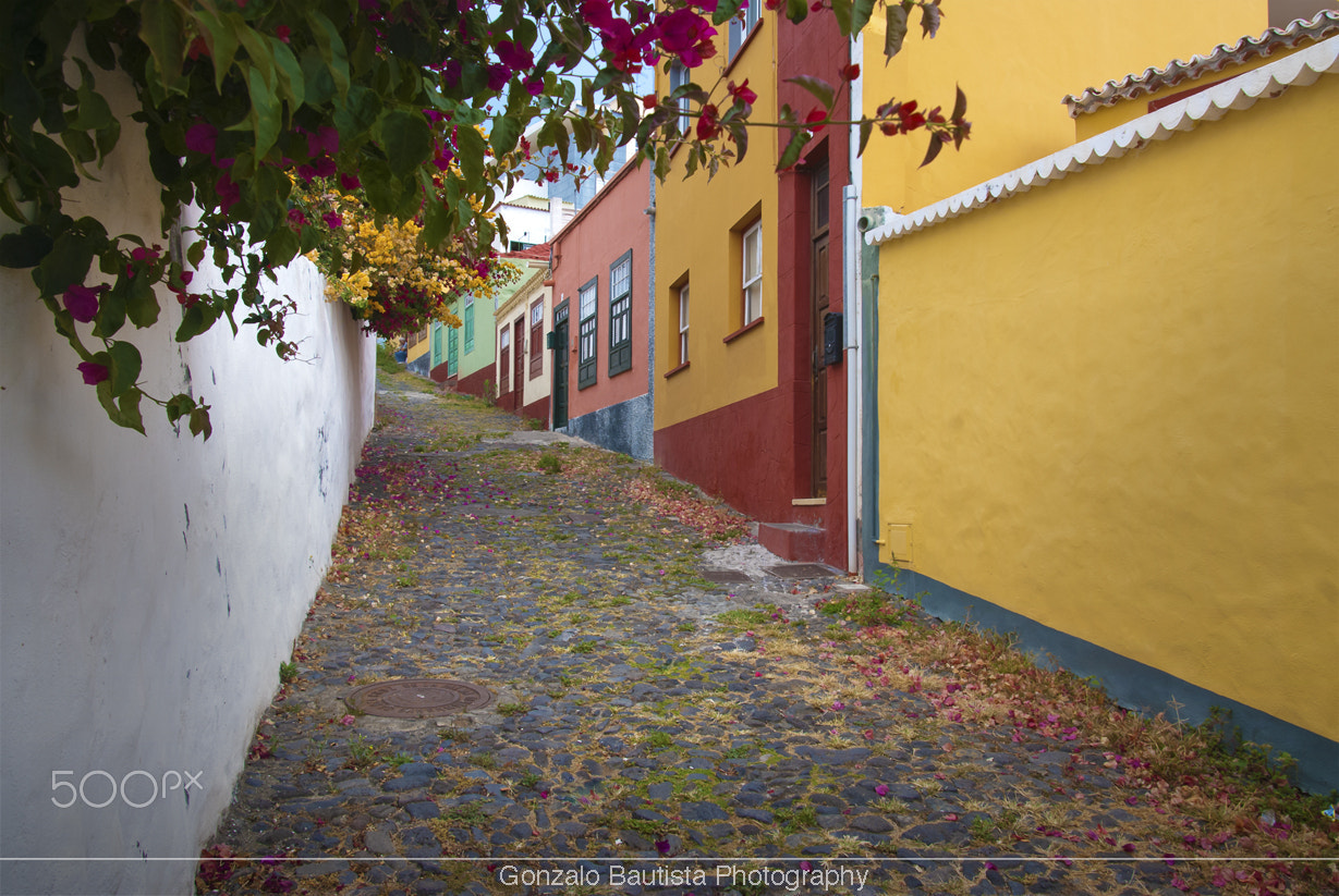 Nikon D40X sample photo. Santa cruz de la palma. canary islands. photography