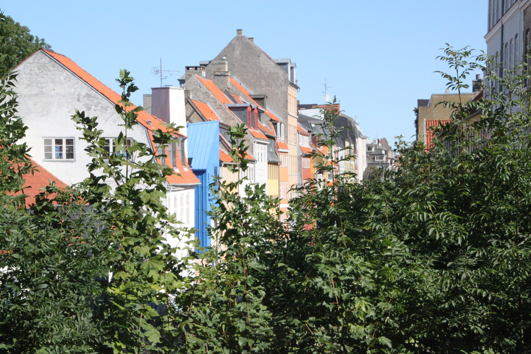 Canon EOS 500D (EOS Rebel T1i / EOS Kiss X3) sample photo. Christianshavn, inside the ramparts photography