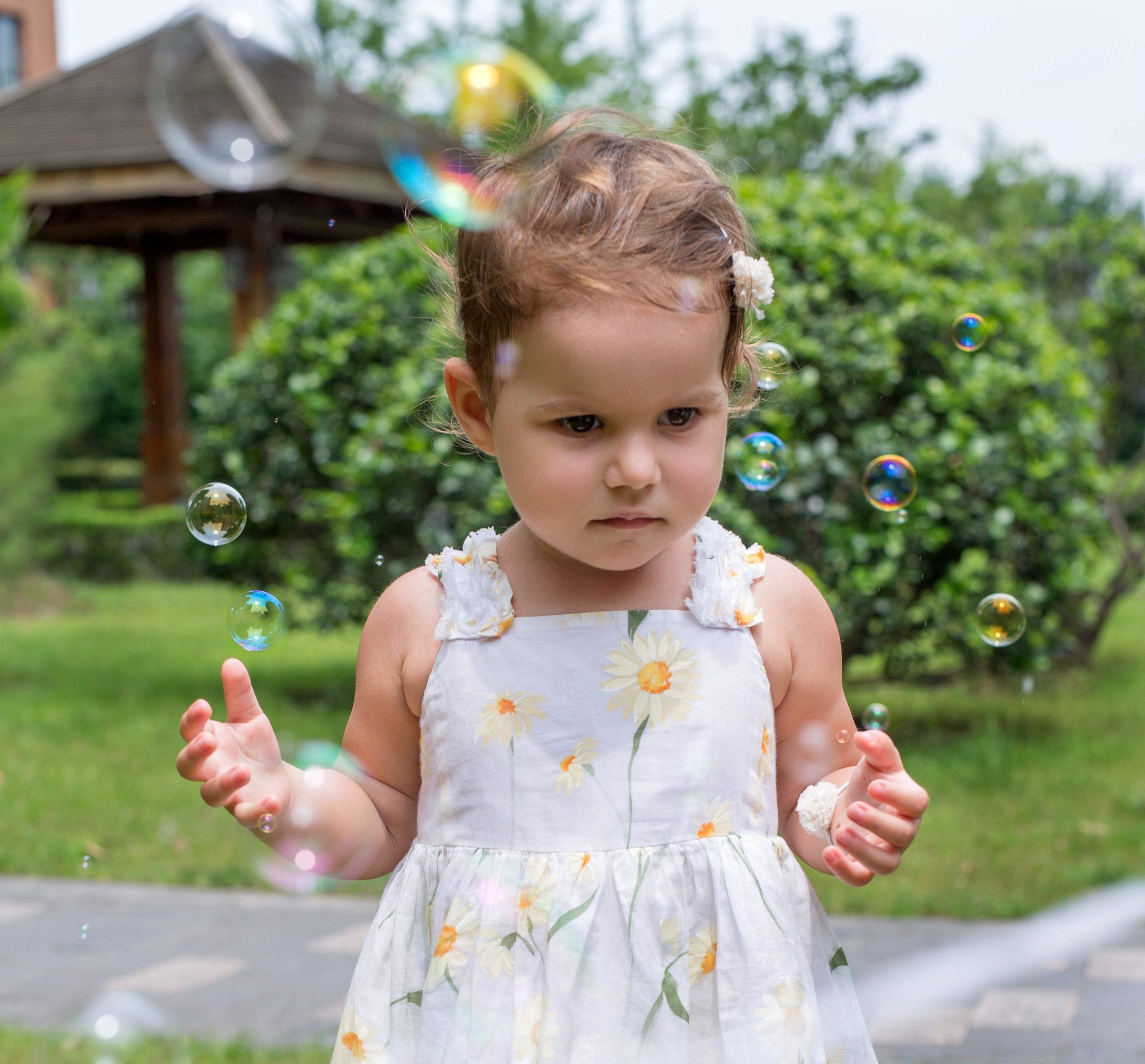 Nikon D4S + Sigma 50mm F1.4 DG HSM Art sample photo. Juggler of bubbles photography