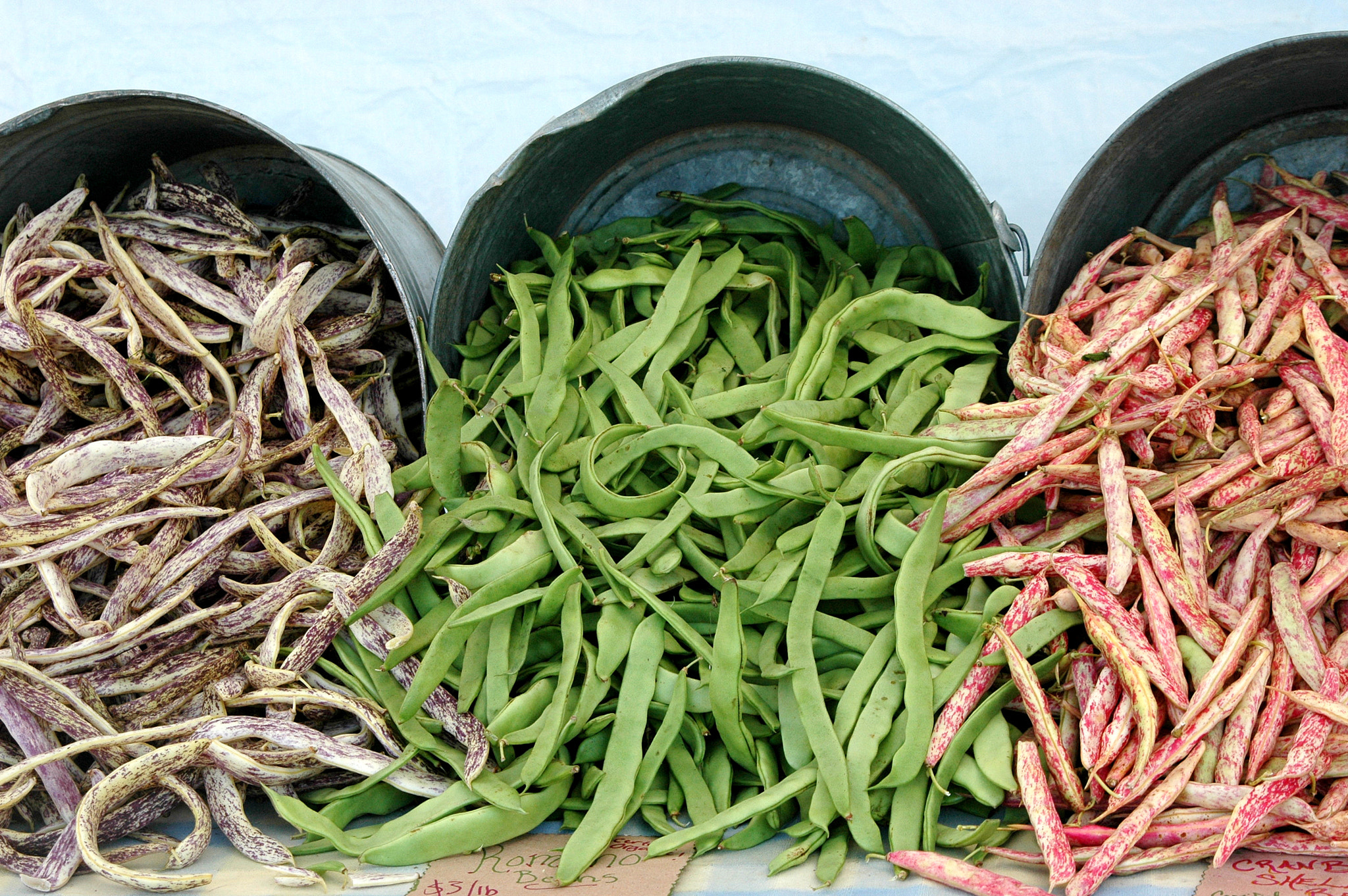Nikon D70 sample photo. String beans. photography