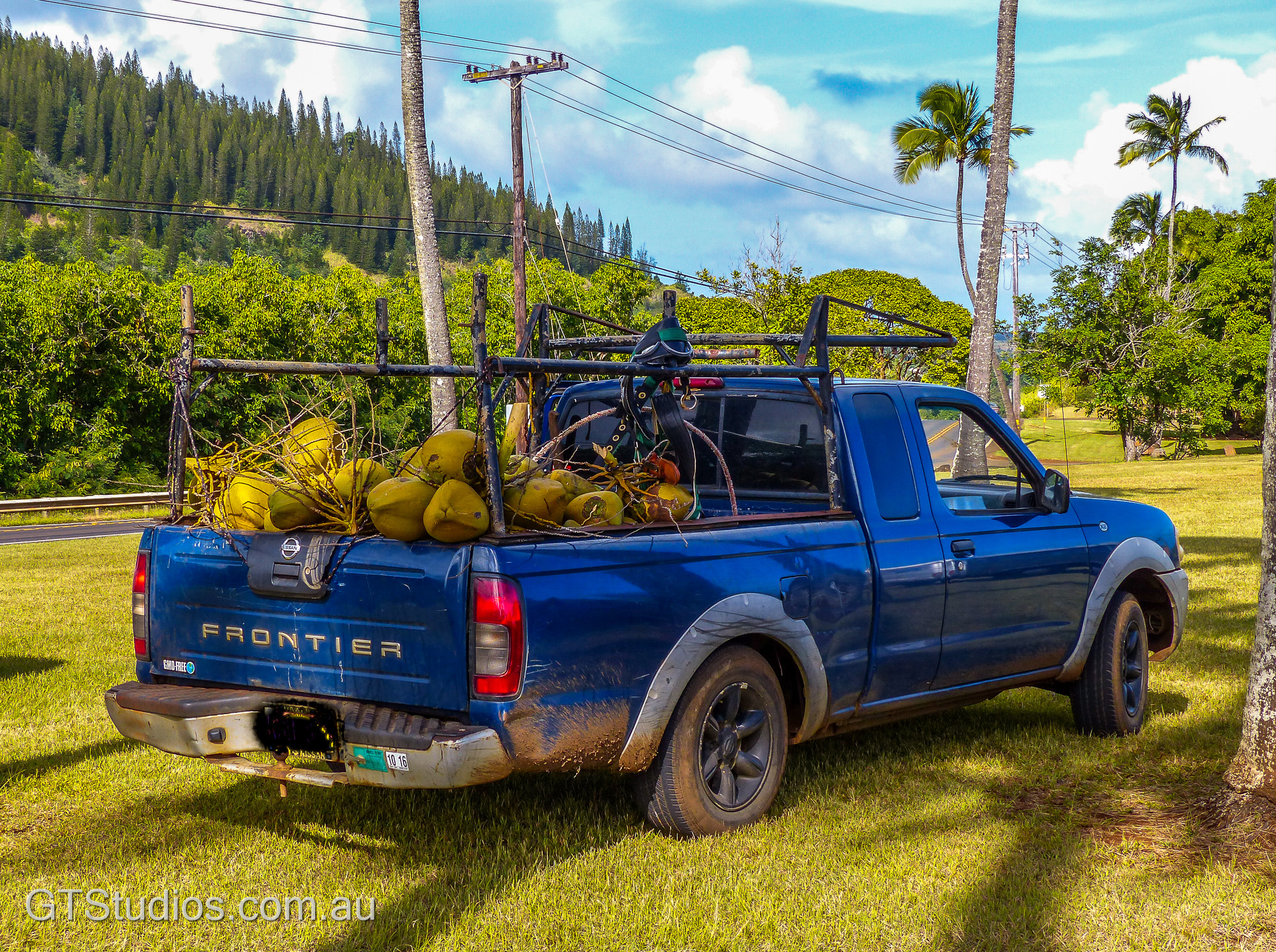 Leica V-Lux 4 sample photo. Coconut gathering photography