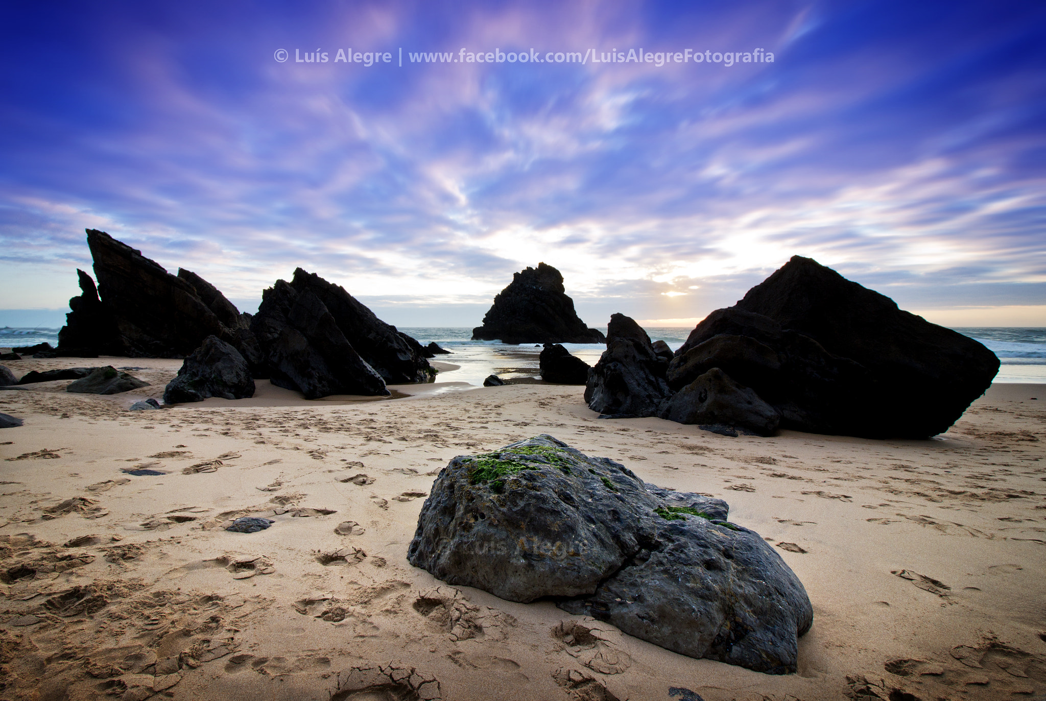 Canon EF-S 10-18mm F4.5–5.6 IS STM sample photo. Invasion photography