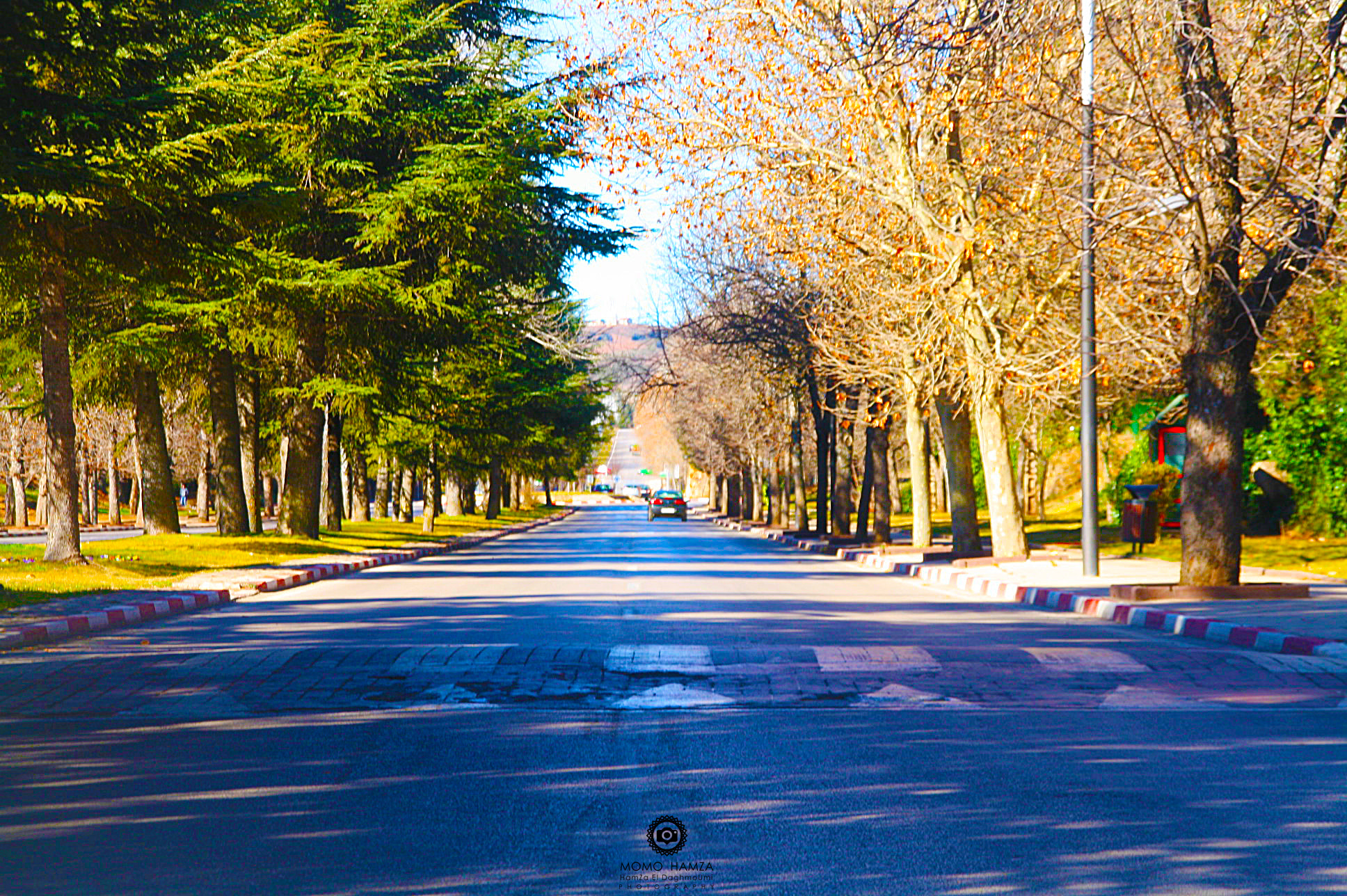 Sigma 18-200mm f/3.5-6.3 DC OS sample photo. Ifran photography