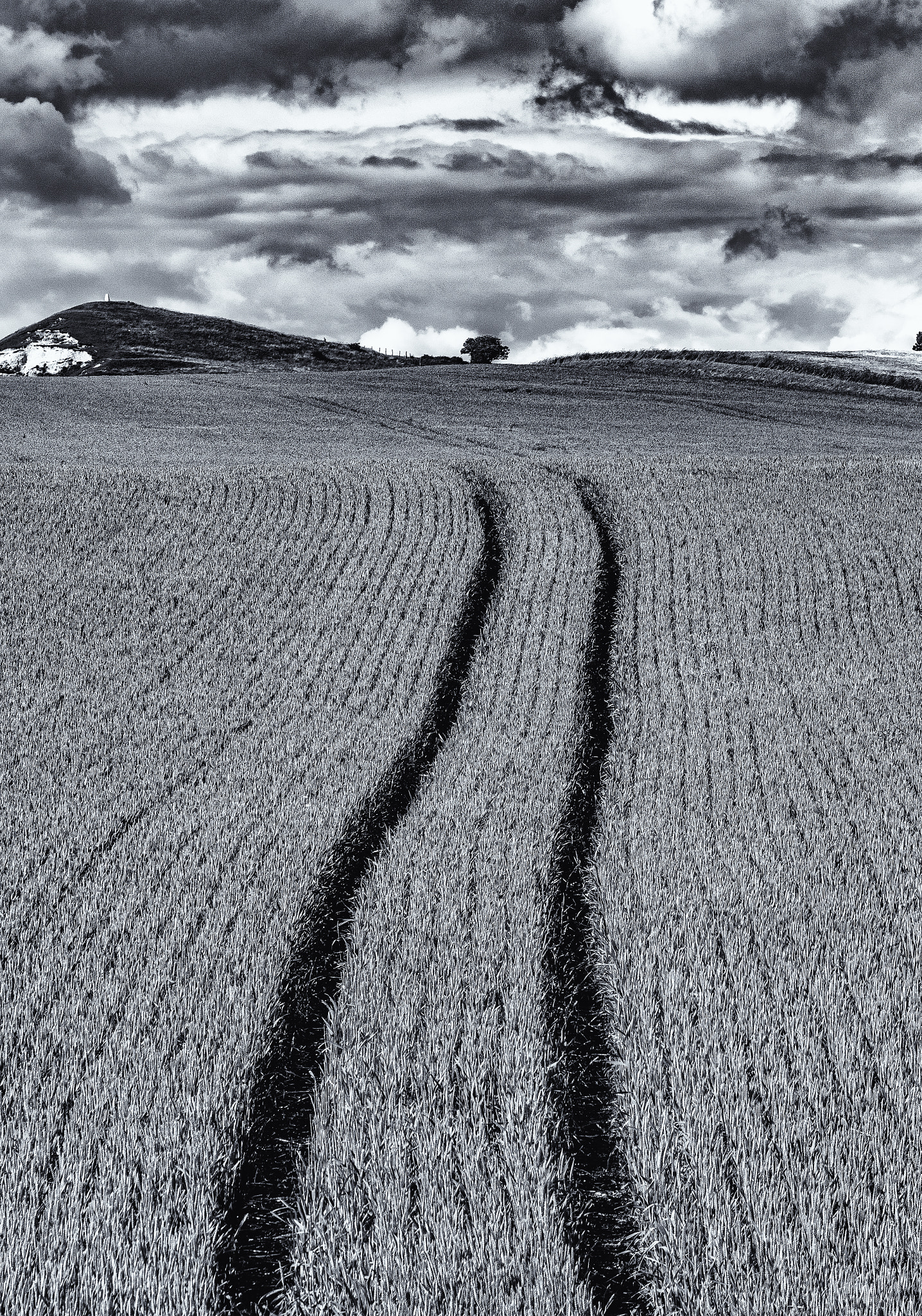 Pentax K-S1 + Sigma sample photo. Black and white tractor tracks  photography