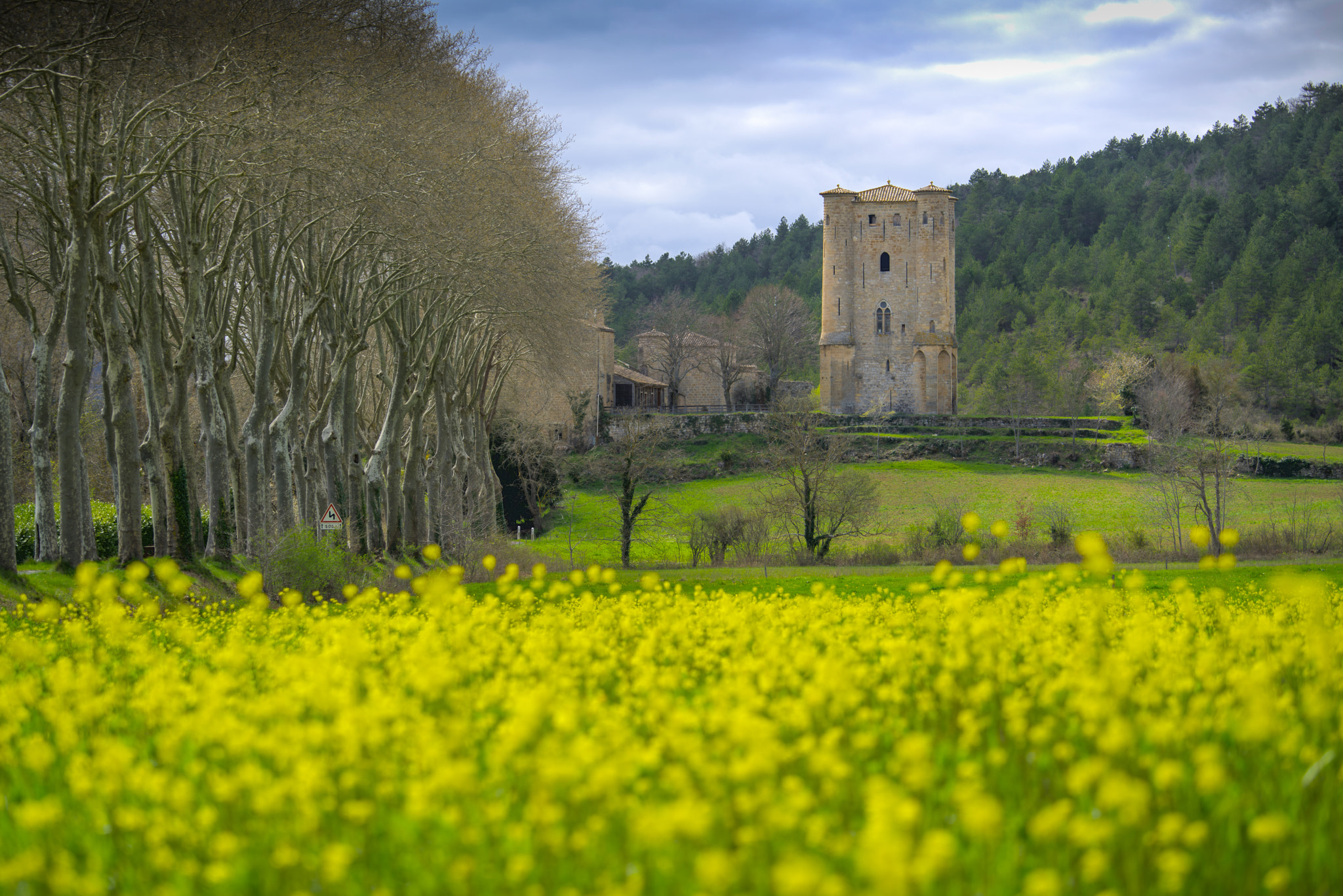 Sony a7R II + Canon EF 70-200mm F4L IS USM sample photo. Château d'arques photography