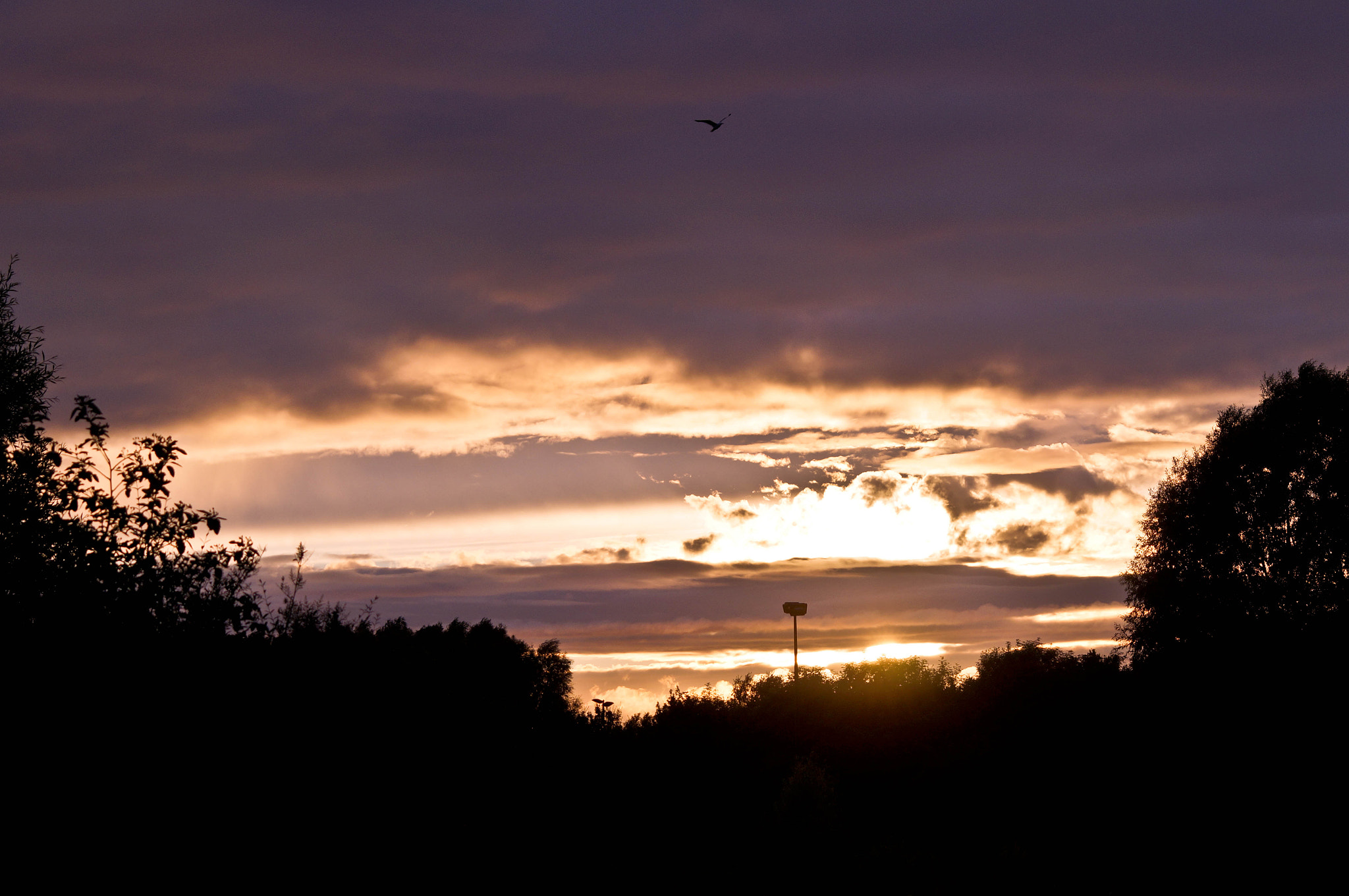 Sigma 70-300mm F4-5.6 DG Macro sample photo. Sunset photography