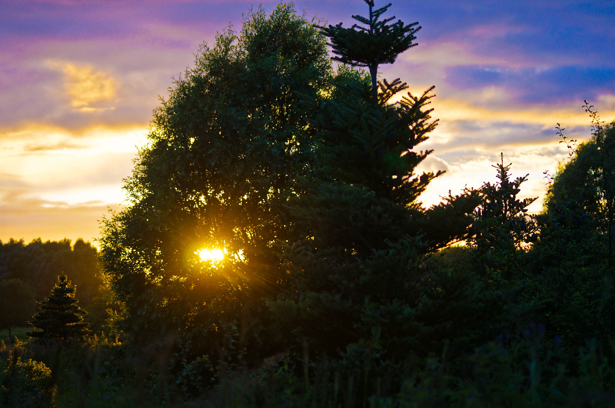 Sigma 70-300mm F4-5.6 DG Macro sample photo. Sunset nature photography