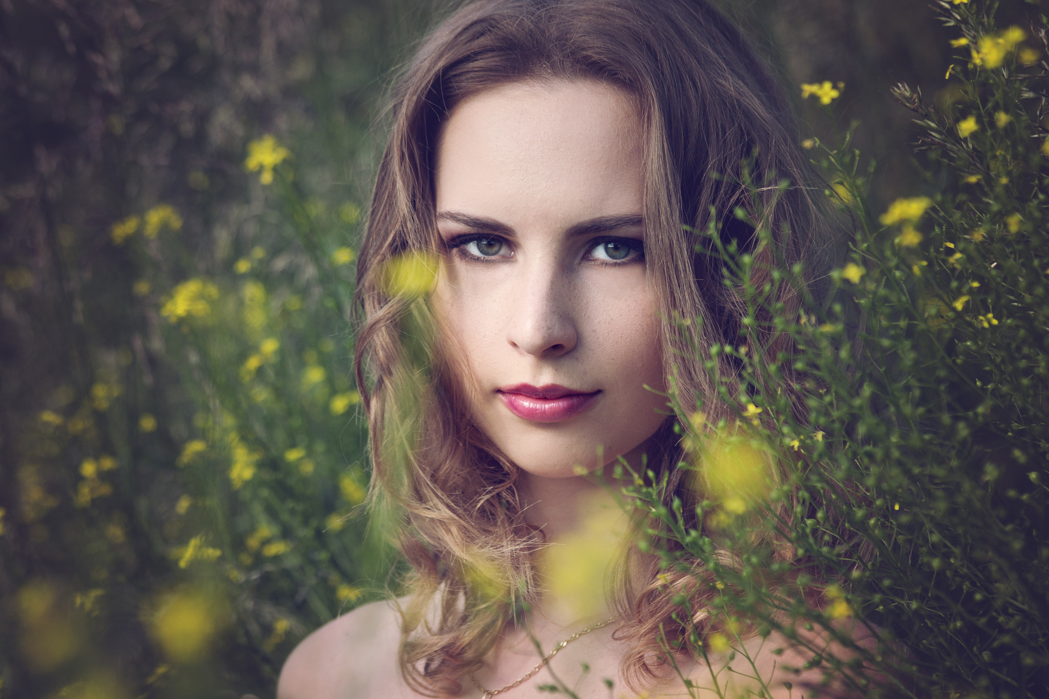 Canon EF 70-300mm F4-5.6 IS USM sample photo. Victoria photography