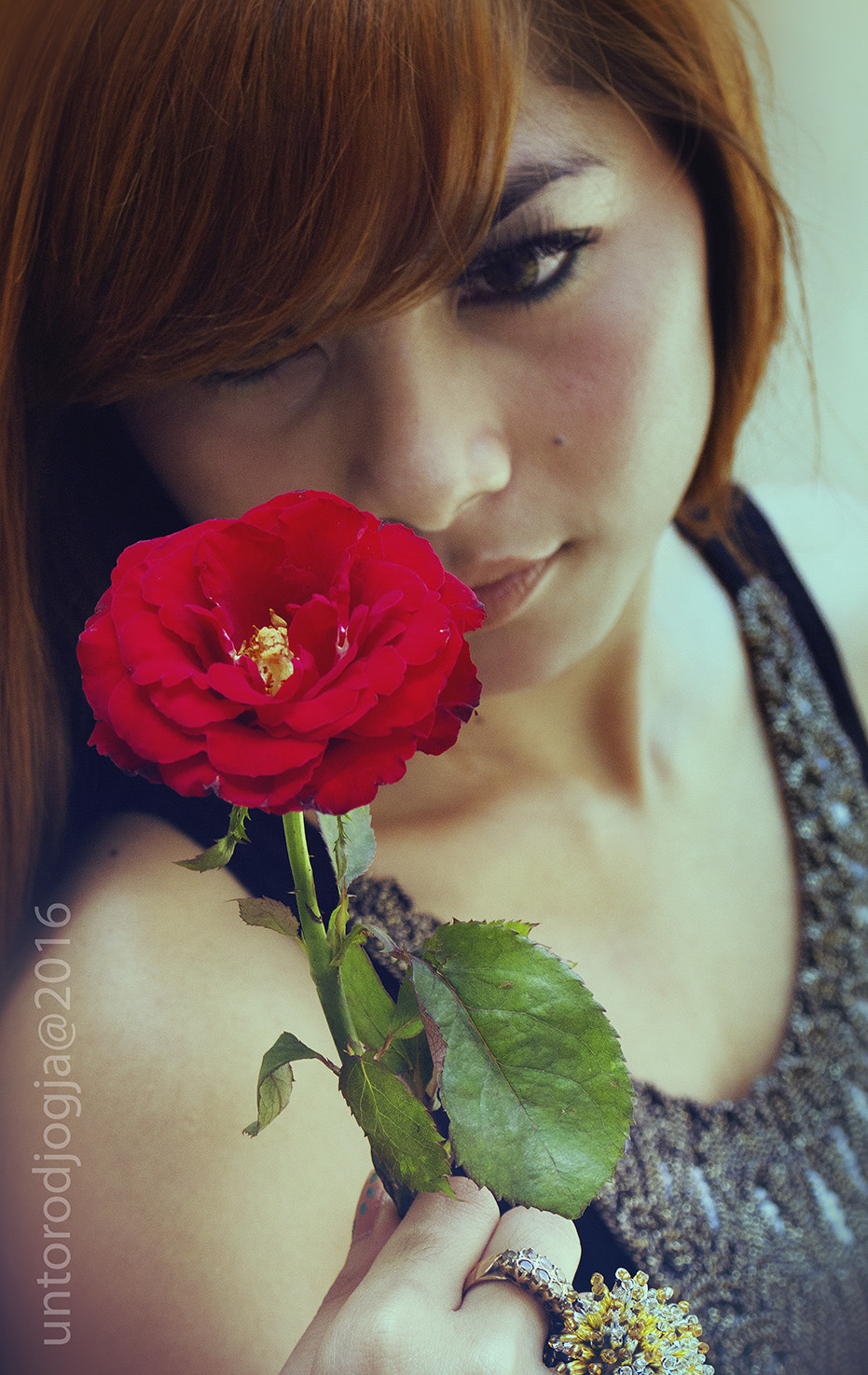 Canon EF 35-70mm f/3.5-4.5A sample photo. Rose photography
