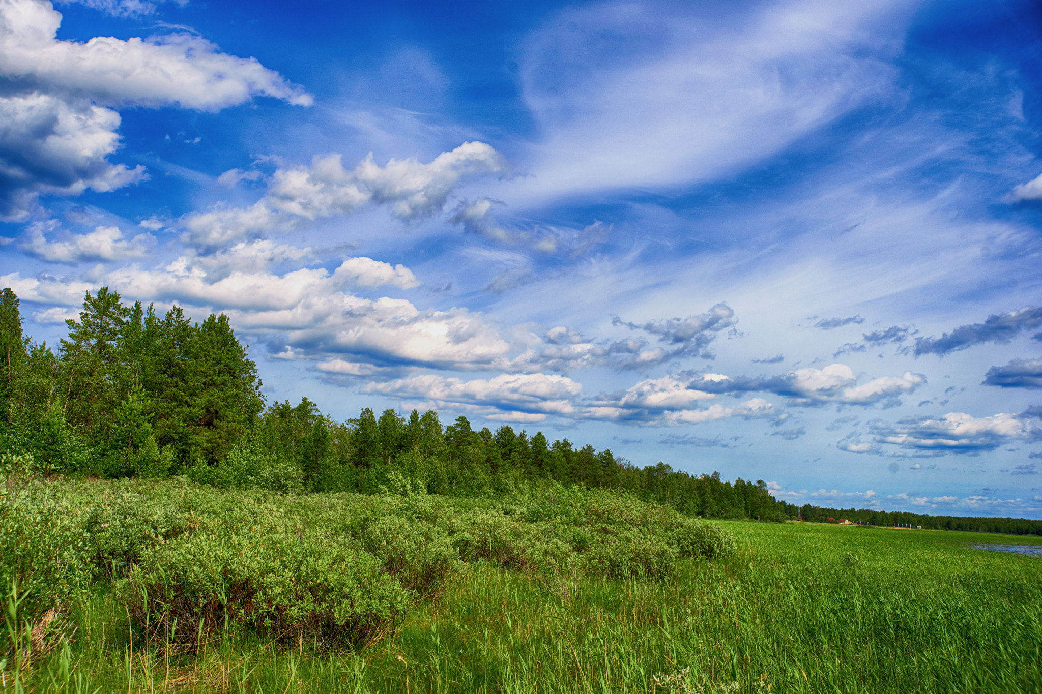 Sony a99 II + 35-70mm F4 sample photo. Cloudy day photography