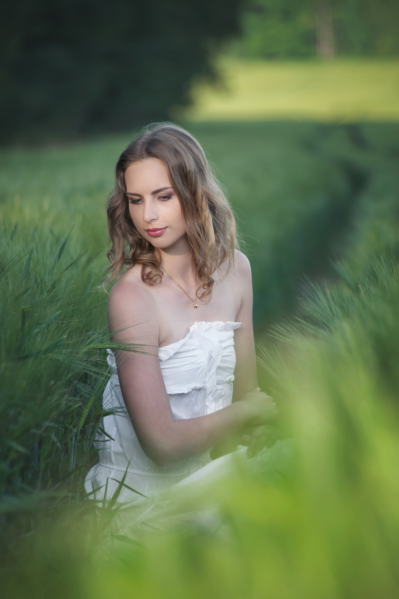 Canon EF 70-300mm F4-5.6 IS USM sample photo. Victoria photography