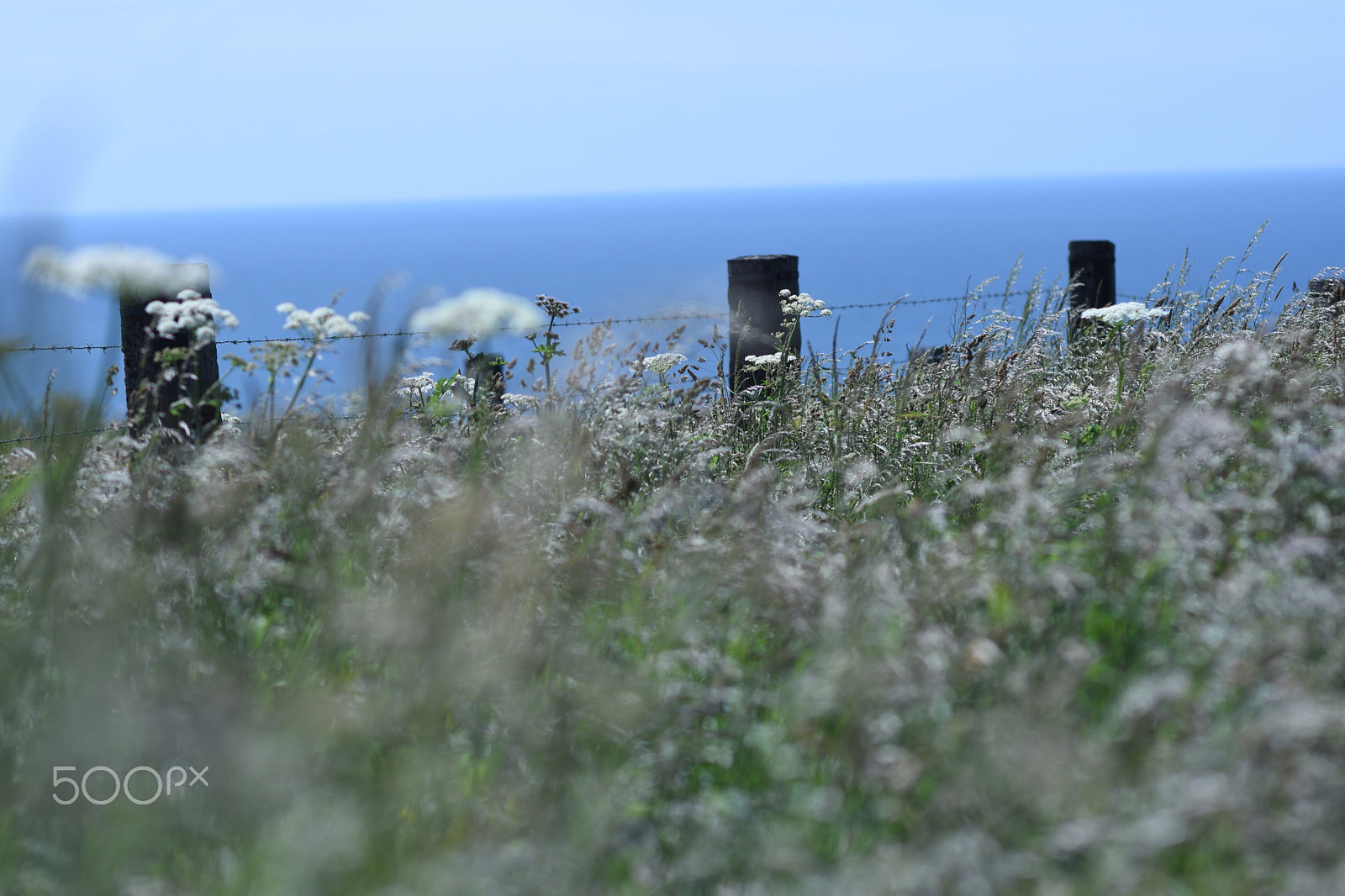 Nikon D5500 + Samyang 85mm F1.4 Aspherical IF sample photo. Fecamp, france. photography