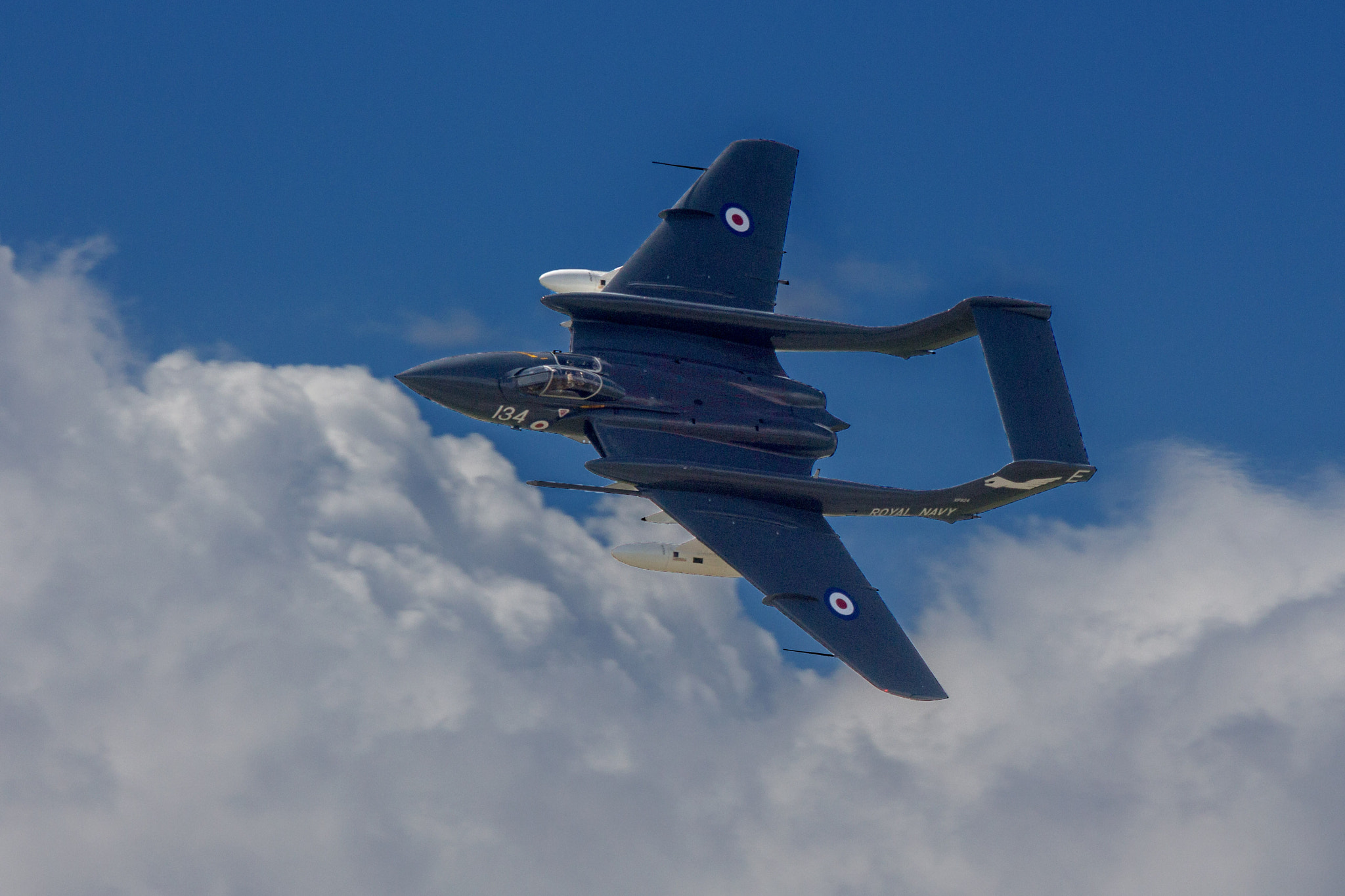 Canon EOS 650D (EOS Rebel T4i / EOS Kiss X6i) sample photo. Sea vixen aloft photography