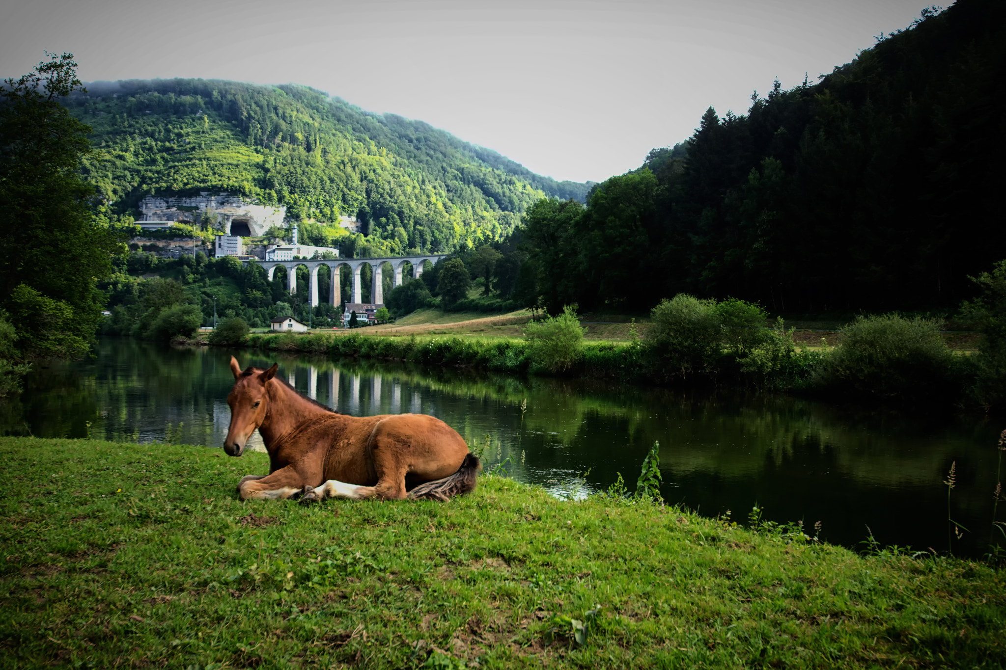 Sigma 12-24mm F4.5-5.6 II DG HSM sample photo. Doubs cheval photography
