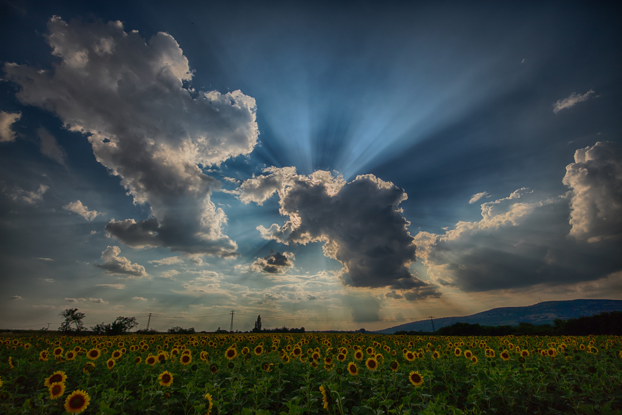 Sigma 12-24mm F4.5-5.6 II DG HSM sample photo. Exhibition photography