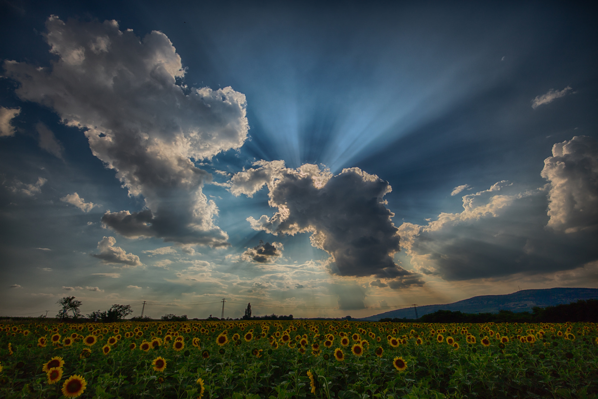 Canon EOS 5DS + Sigma 12-24mm F4.5-5.6 II DG HSM sample photo. Exhibition photography