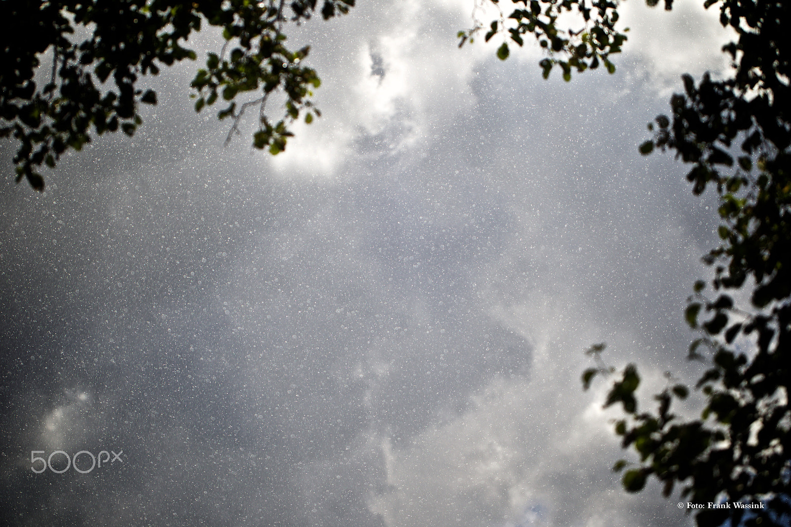 Canon EOS-1D Mark IV sample photo. Bad weather in holland photography