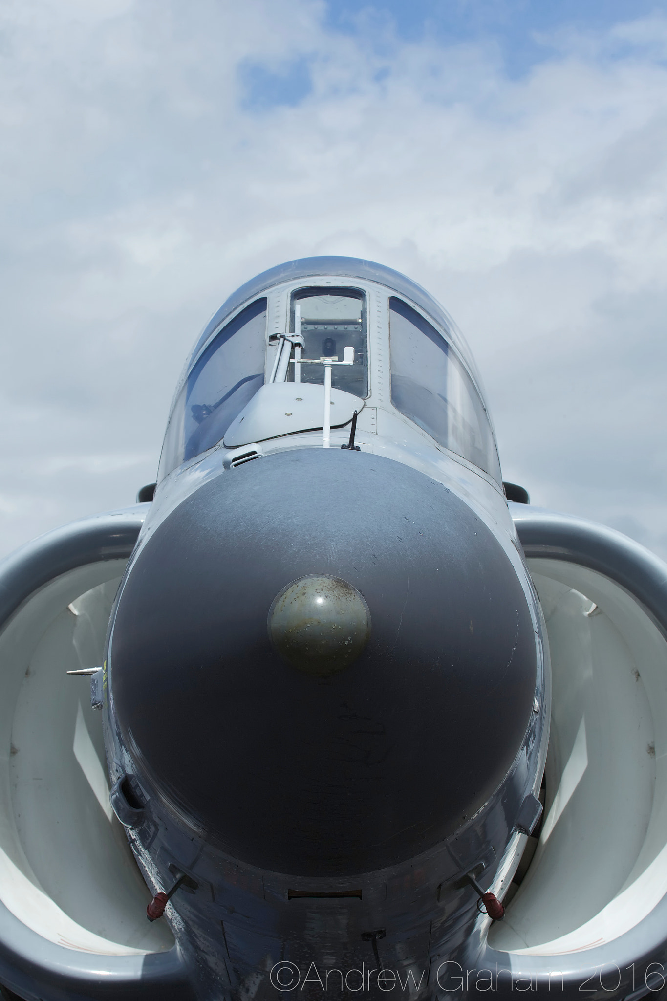 Canon EF 100-400mm F4.5-5.6L IS USM sample photo. Sea harrier fm2 photography