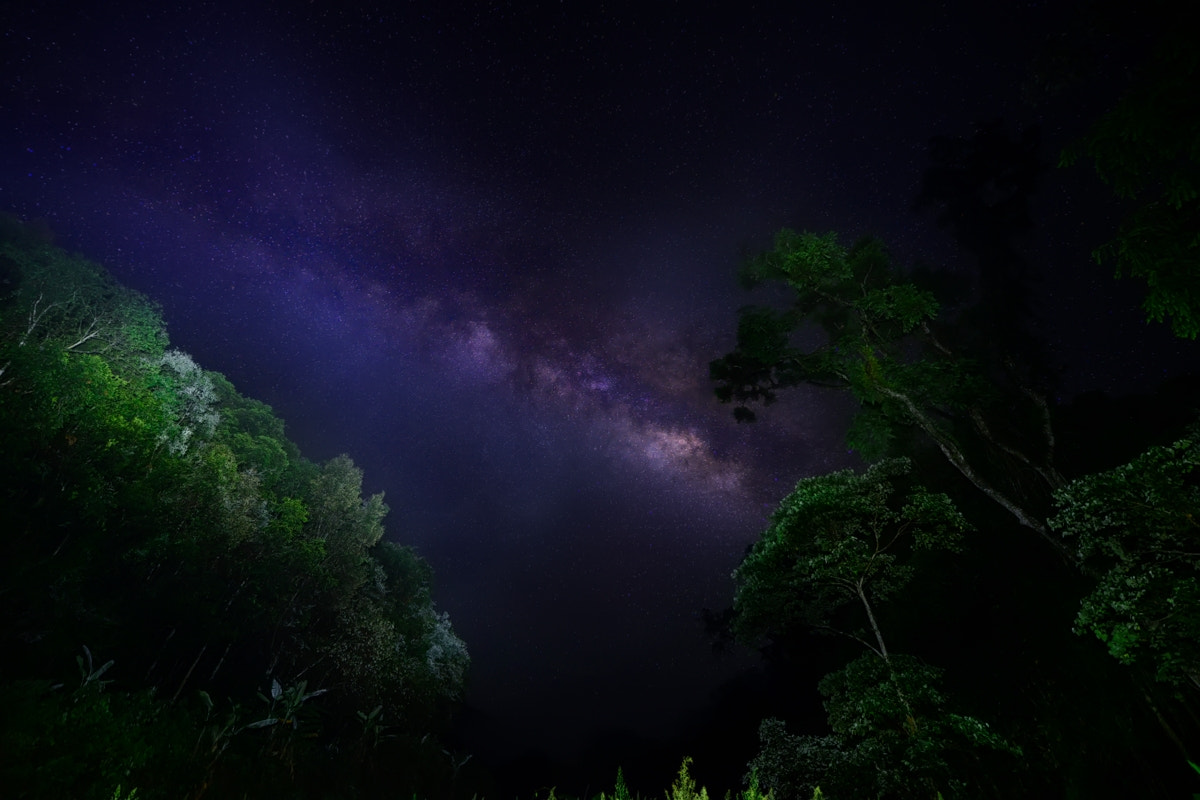 Nikon D800E sample photo. 雨林银河 photography