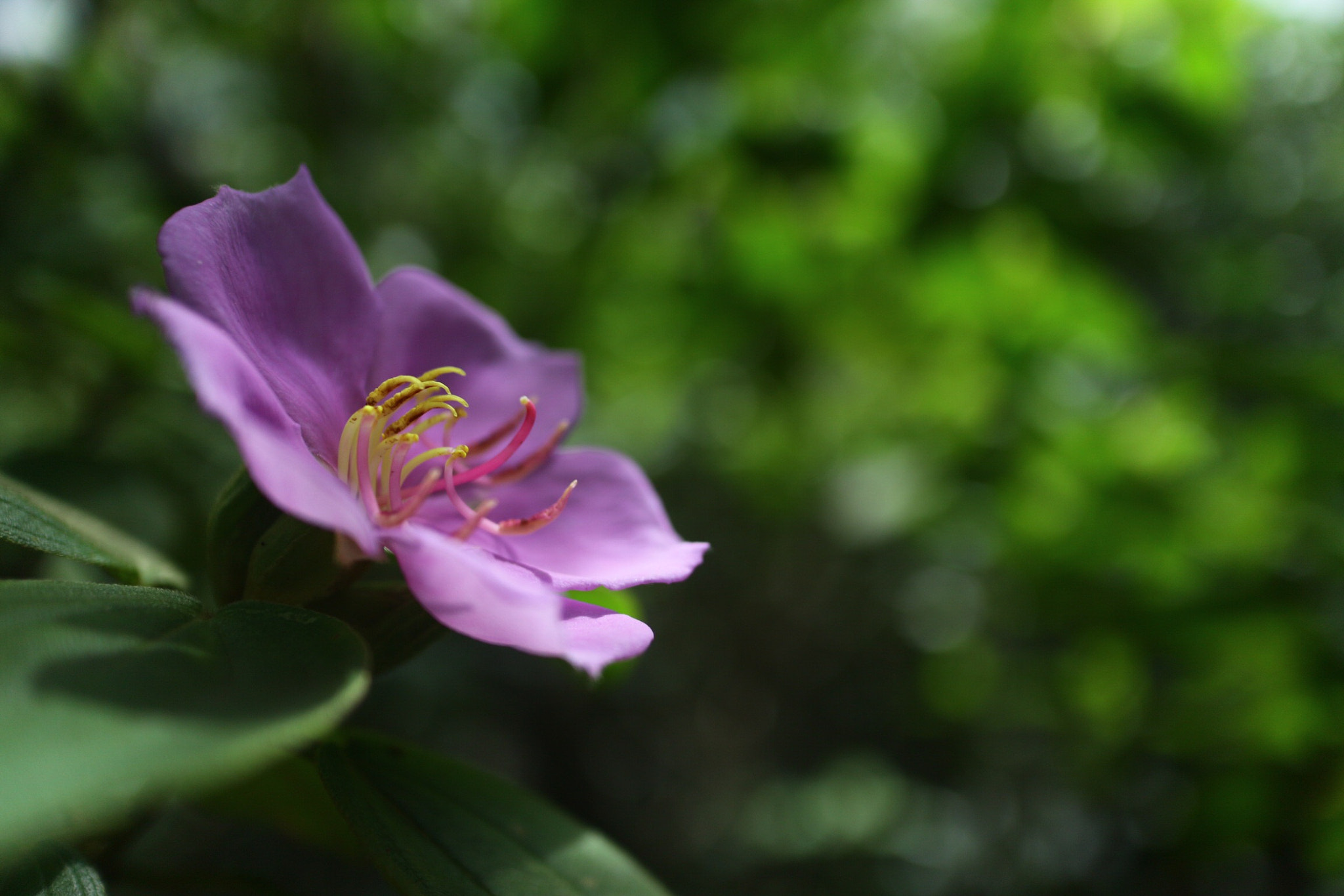 Canon EOS M10 + Canon EF-M 22mm F2 STM sample photo. Facing the sun photography