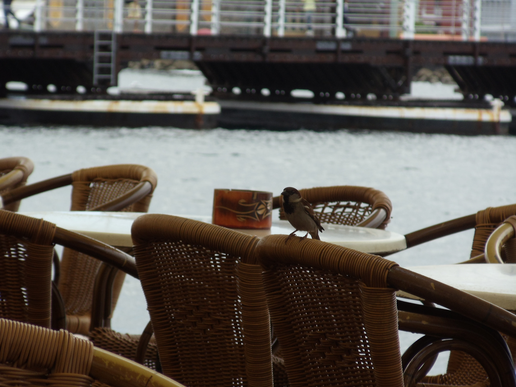 Sony Cyber-shot DSC-W370 sample photo. Curacao photography
