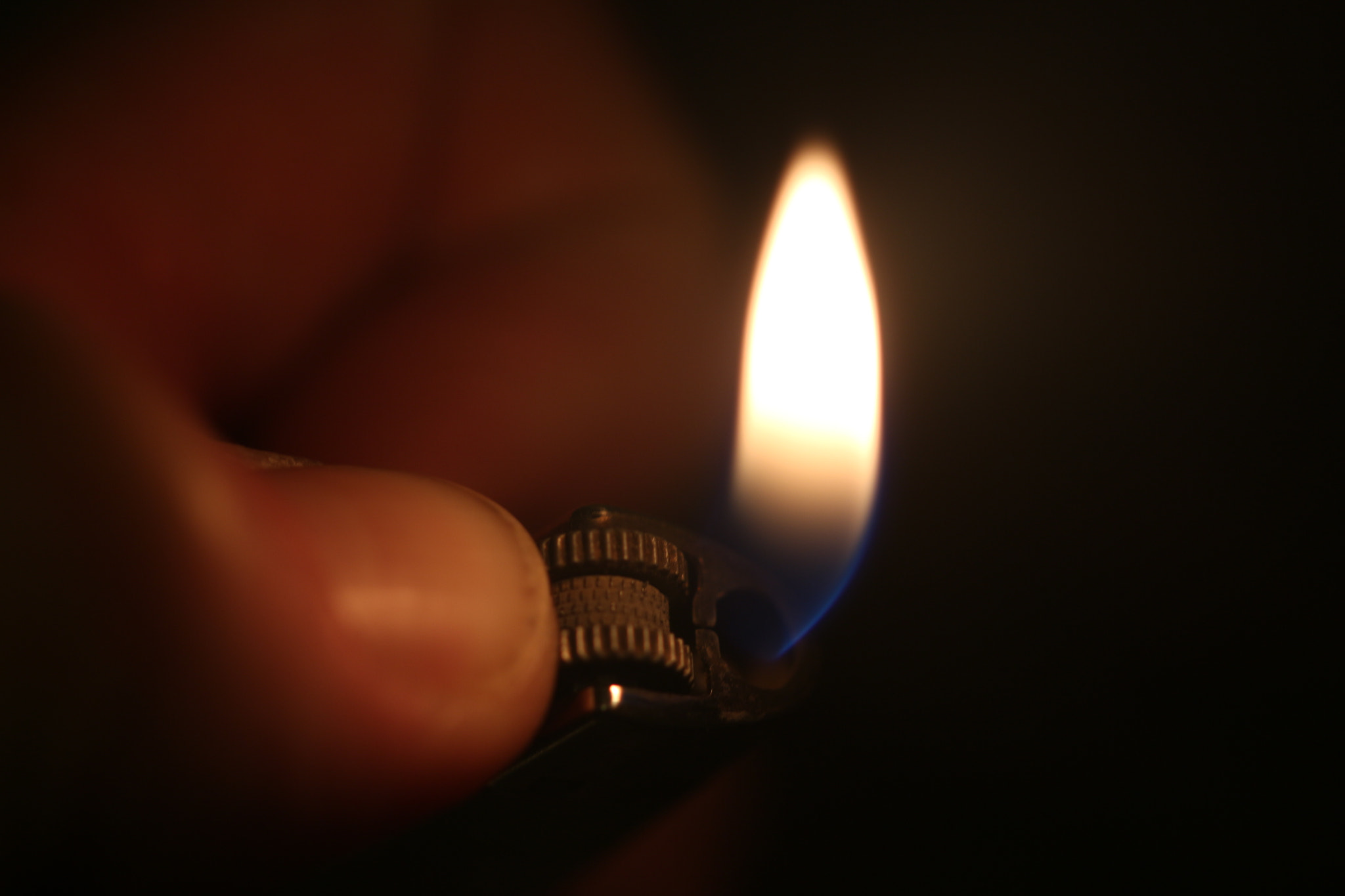 Canon EF 100mm F2.8L Macro IS USM sample photo. Lighting photography