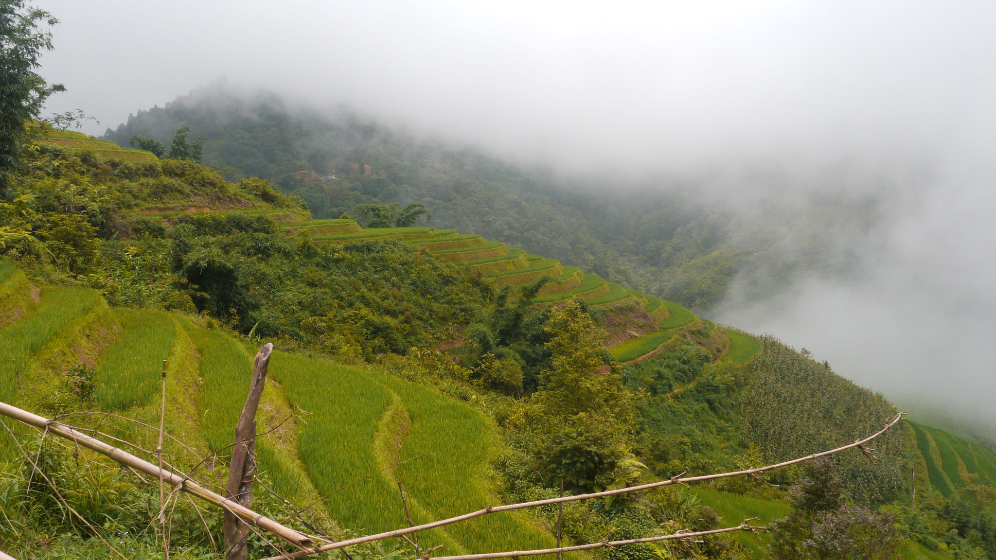 Panasonic Lumix DMC-GH1 sample photo. Vietnam photography