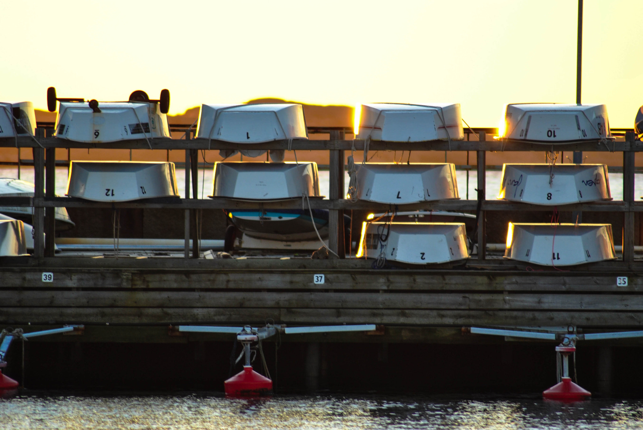 Nikon D3000 sample photo. For rent photography